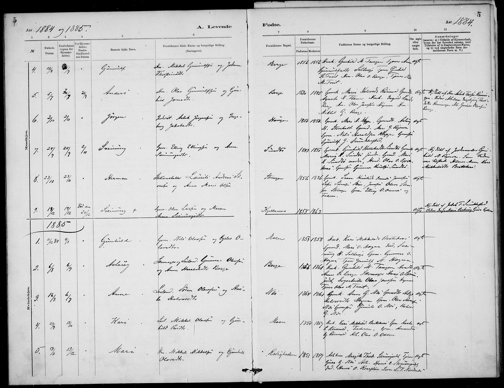 Lunde kirkebøker, SAKO/A-282/F/Fb/L0003: Parish register (official) no. II 3, 1882-1891, p. 5