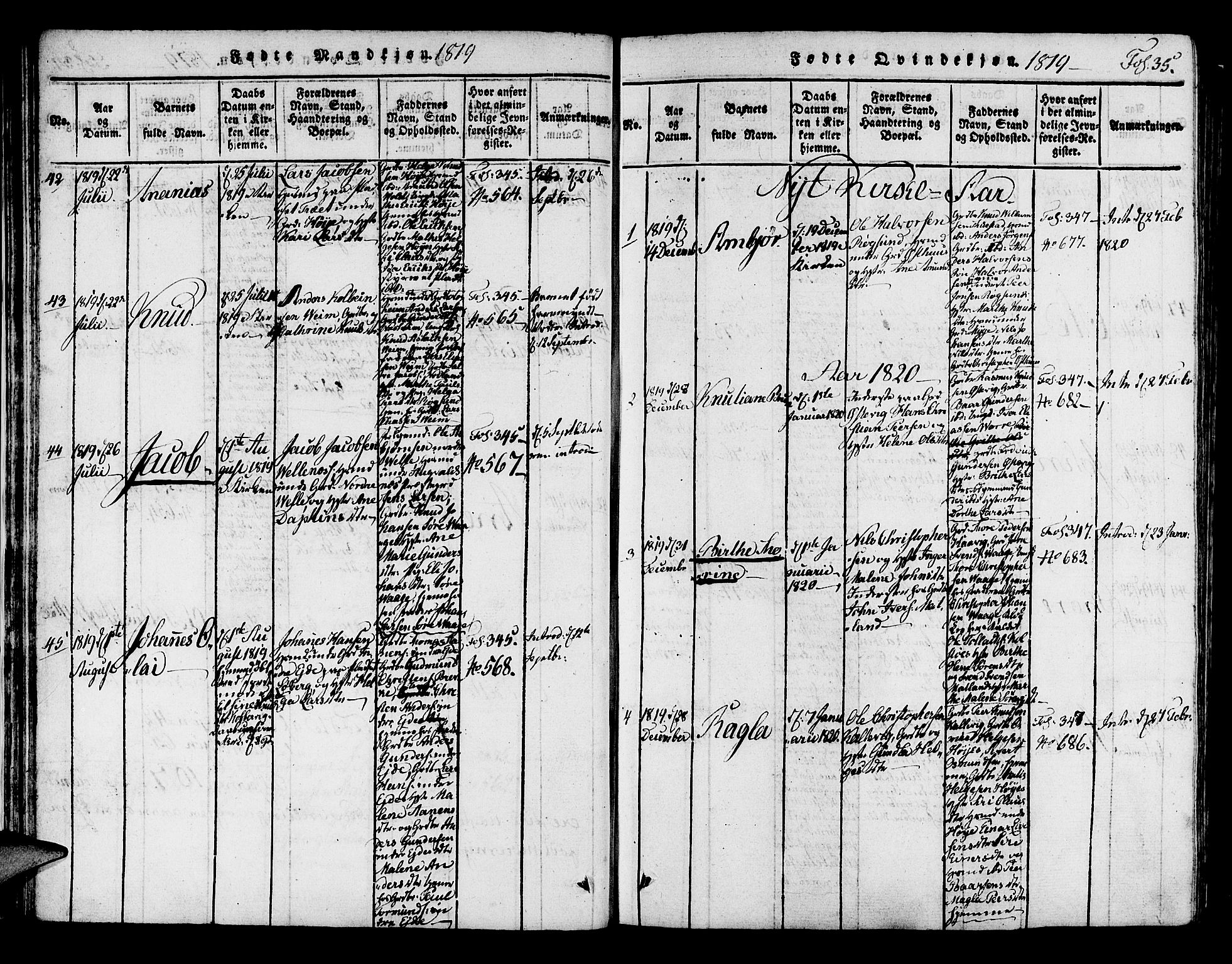 Avaldsnes sokneprestkontor, SAST/A -101851/H/Ha/Haa/L0004: Parish register (official) no. A 4, 1816-1825, p. 35