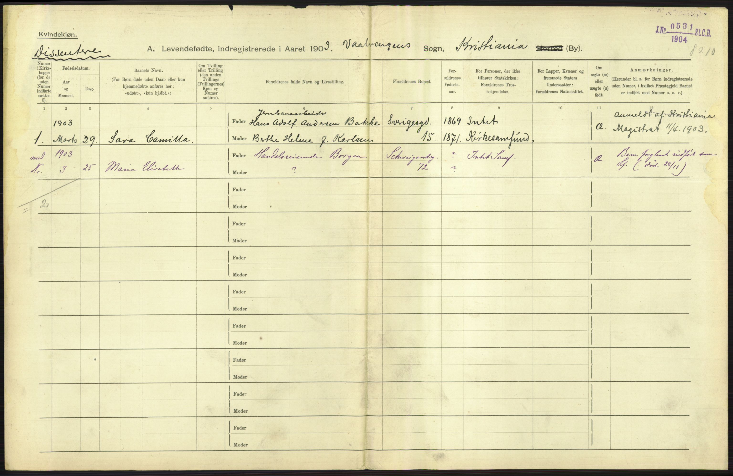 Statistisk sentralbyrå, Sosiodemografiske emner, Befolkning, AV/RA-S-2228/D/Df/Dfa/Dfaa/L0003: Kristiania: Fødte, 1903, p. 459