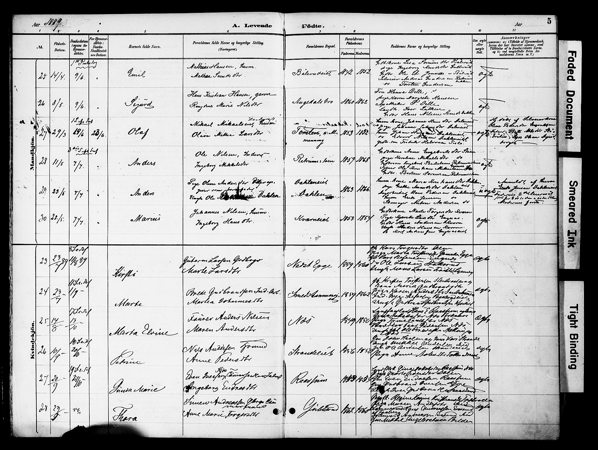 Gran prestekontor, SAH/PREST-112/H/Ha/Haa/L0020: Parish register (official) no. 20, 1889-1899, p. 5