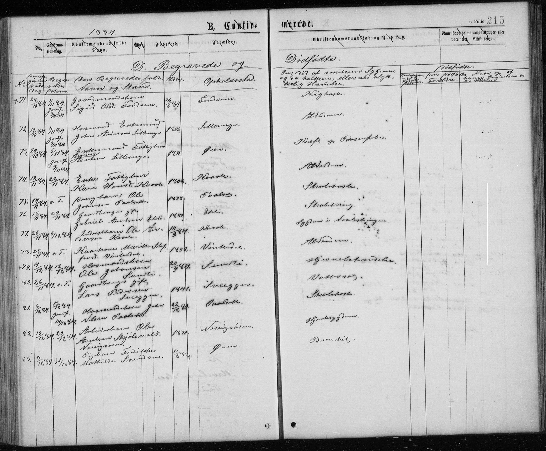 Ministerialprotokoller, klokkerbøker og fødselsregistre - Sør-Trøndelag, AV/SAT-A-1456/668/L0817: Parish register (copy) no. 668C06, 1873-1884, p. 215