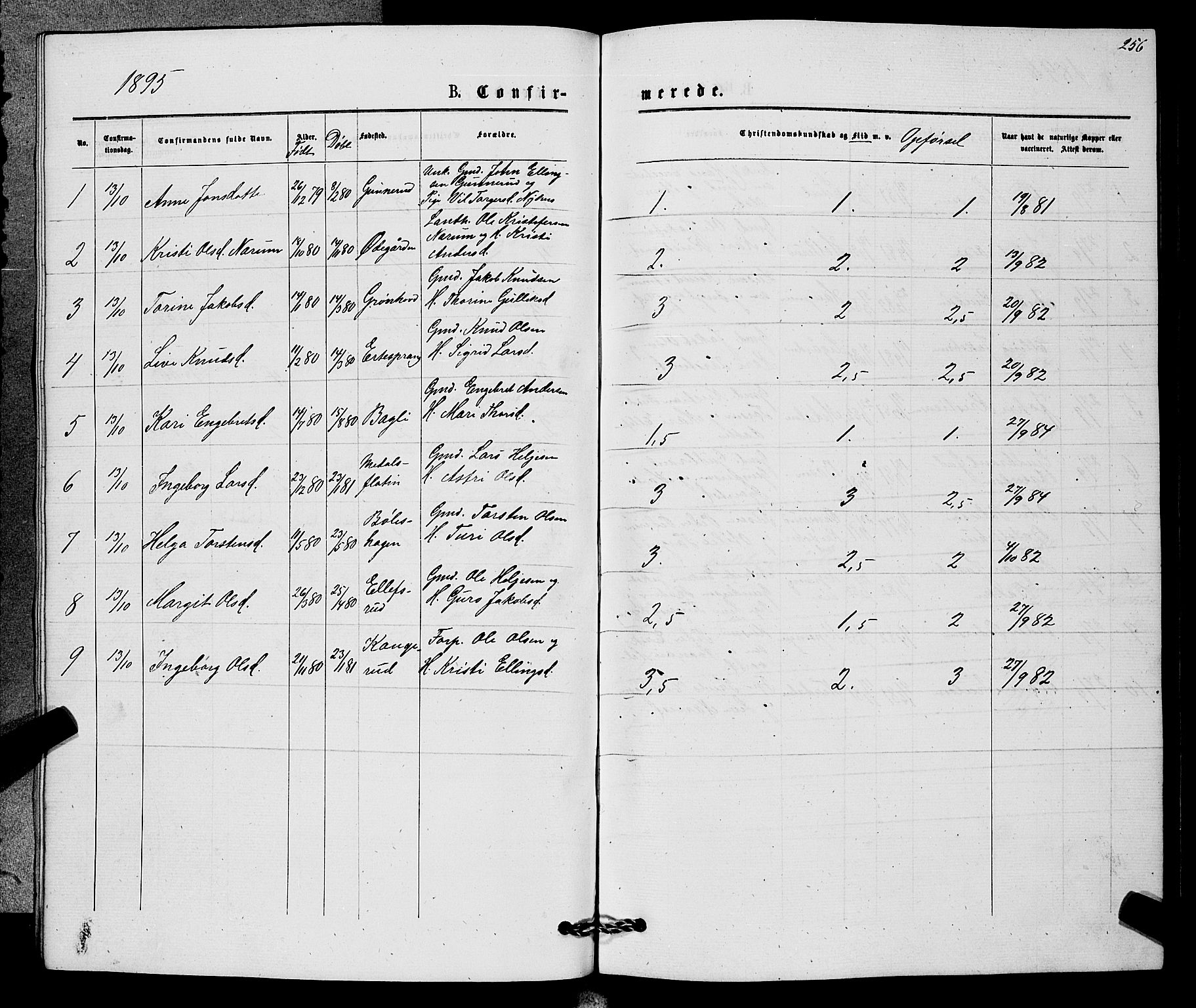 Sigdal kirkebøker, SAKO/A-245/G/Gb/L0002: Parish register (copy) no. II 2, 1875-1900, p. 256