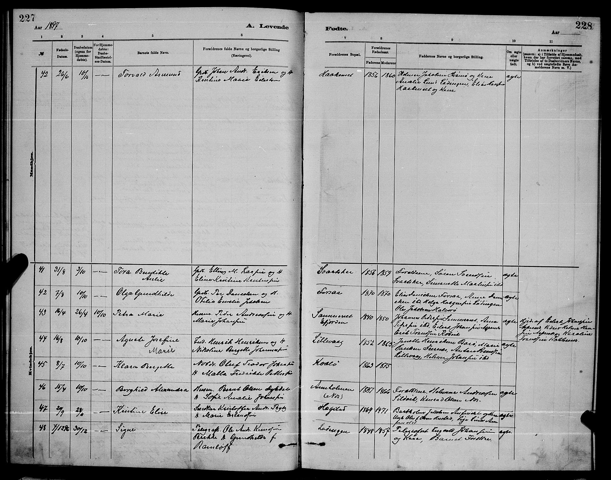 Ministerialprotokoller, klokkerbøker og fødselsregistre - Nordland, AV/SAT-A-1459/872/L1047: Parish register (copy) no. 872C03, 1880-1897, p. 227-228