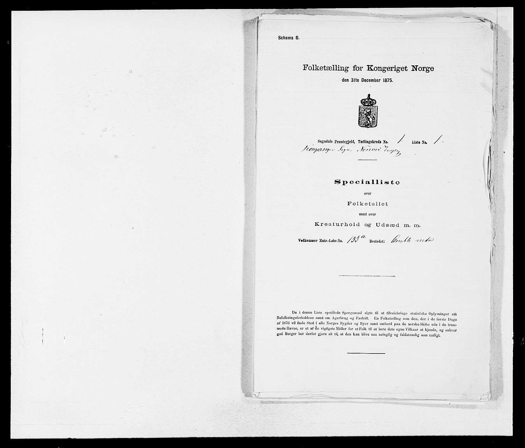 SAB, 1875 census for 1420P Sogndal, 1875, p. 38