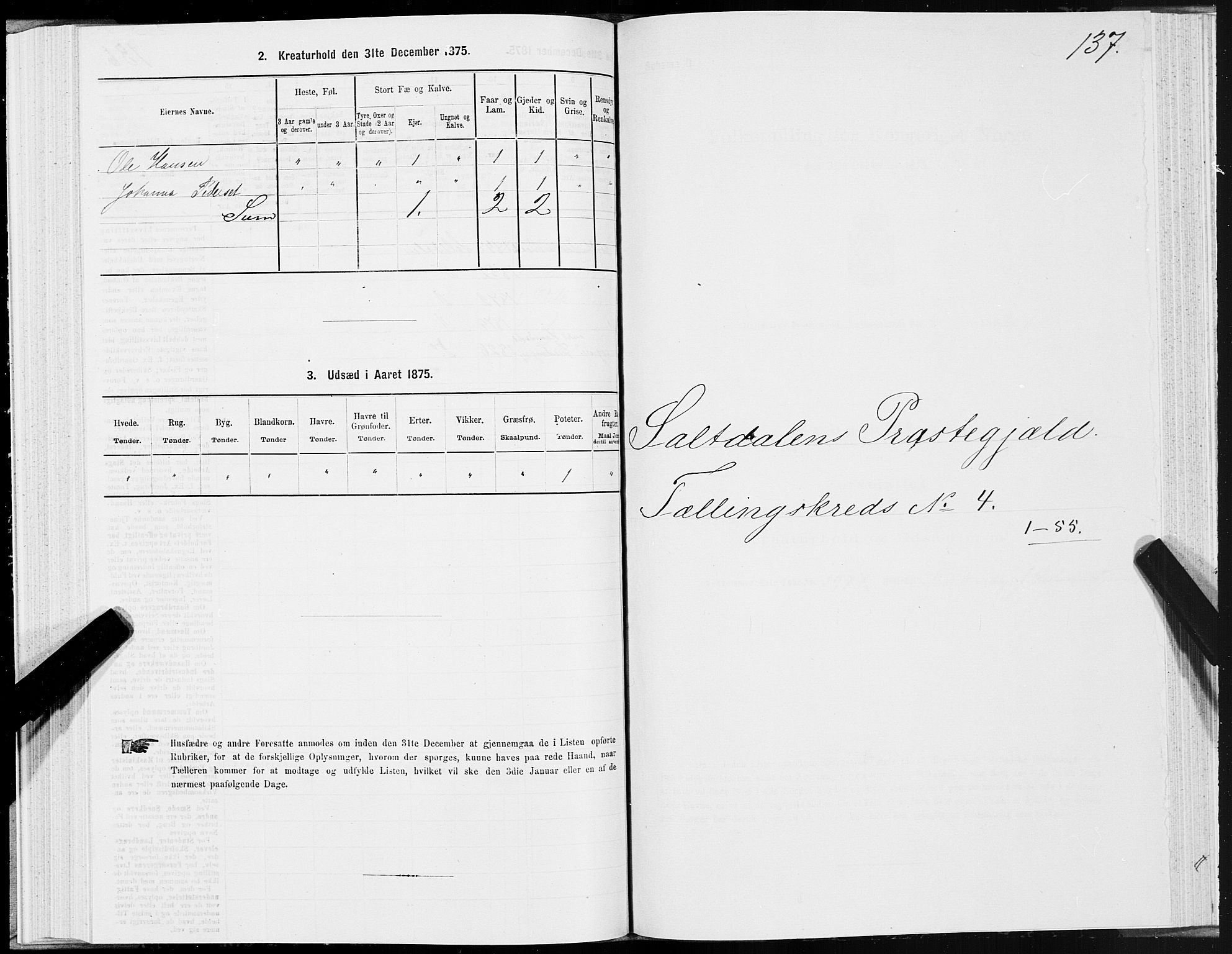 SAT, 1875 census for 1840P Saltdal, 1875, p. 2137