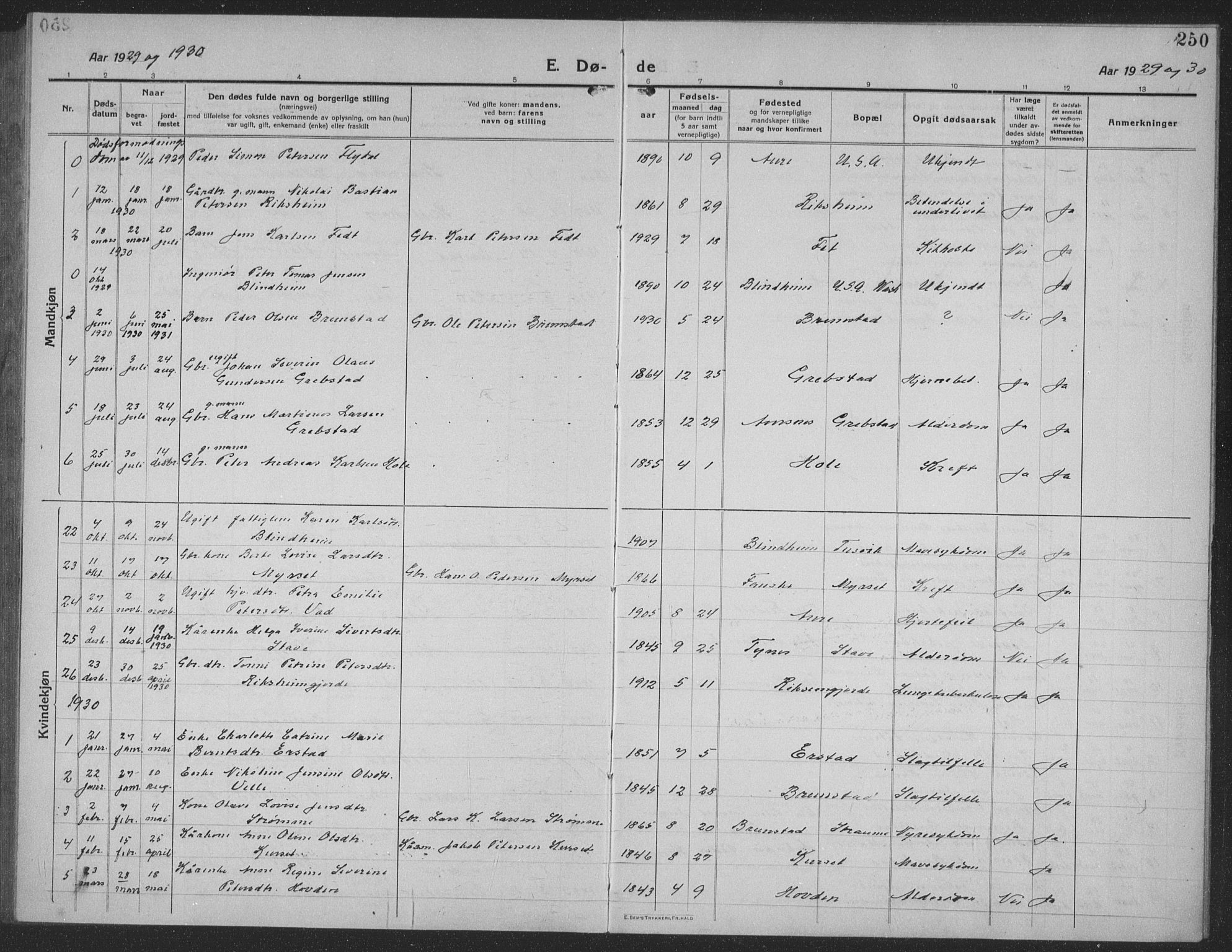 Ministerialprotokoller, klokkerbøker og fødselsregistre - Møre og Romsdal, AV/SAT-A-1454/523/L0342: Parish register (copy) no. 523C05, 1916-1937, p. 250