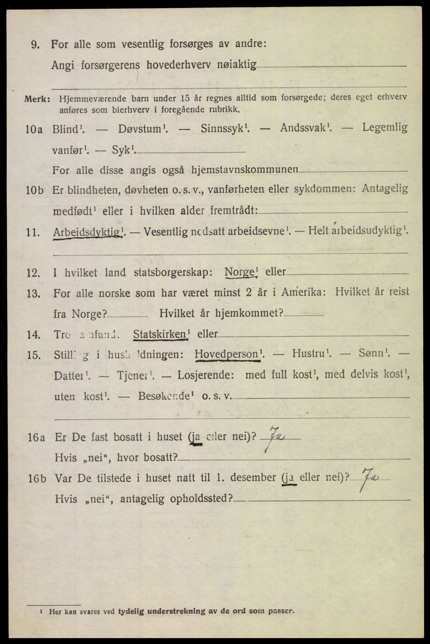 SAH, 1920 census for Nordre Land, 1920, p. 1119