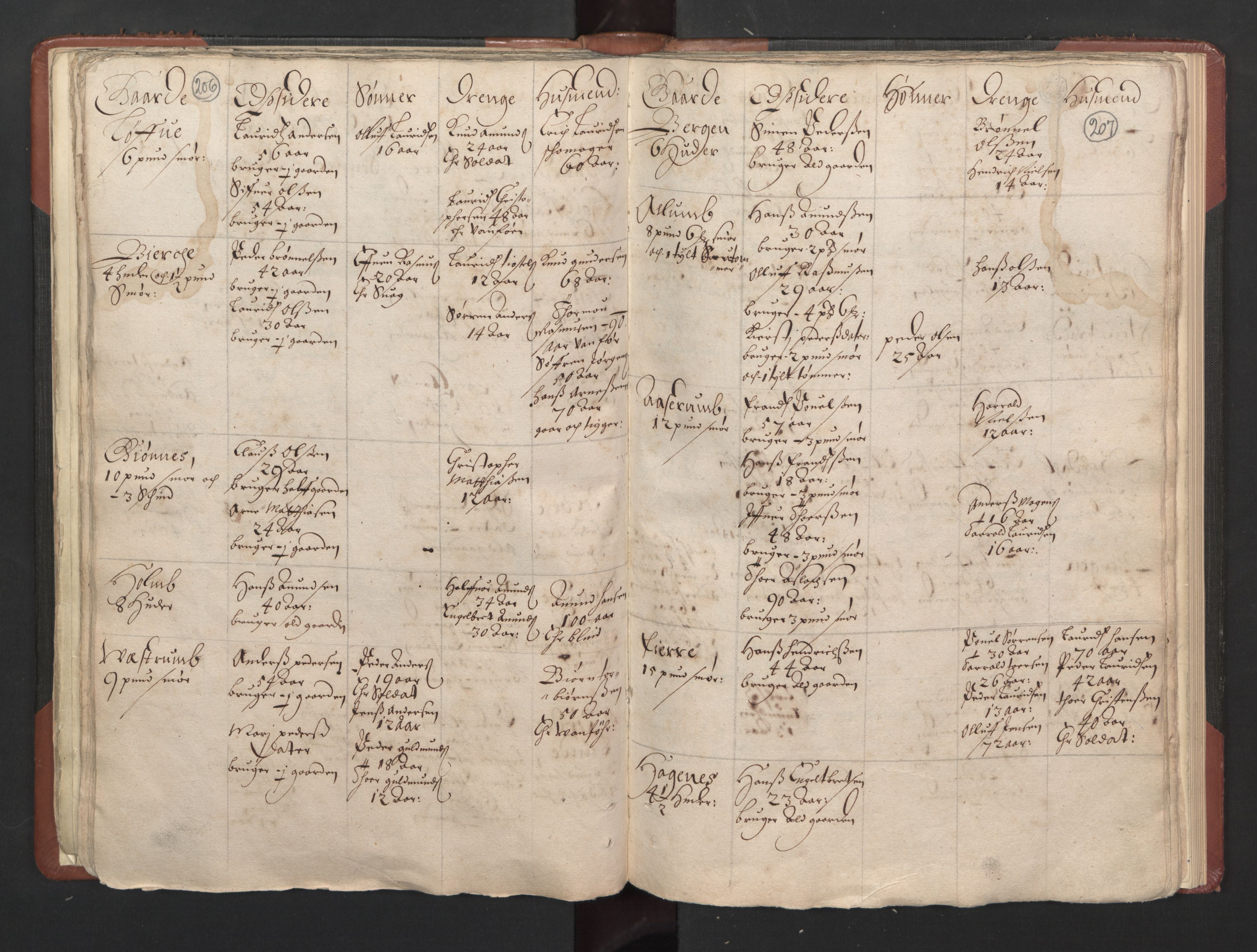 RA, Bailiff's Census 1664-1666, no. 5: Modern Buskerud county and modern Vestfold county, 1664, p. 206-207