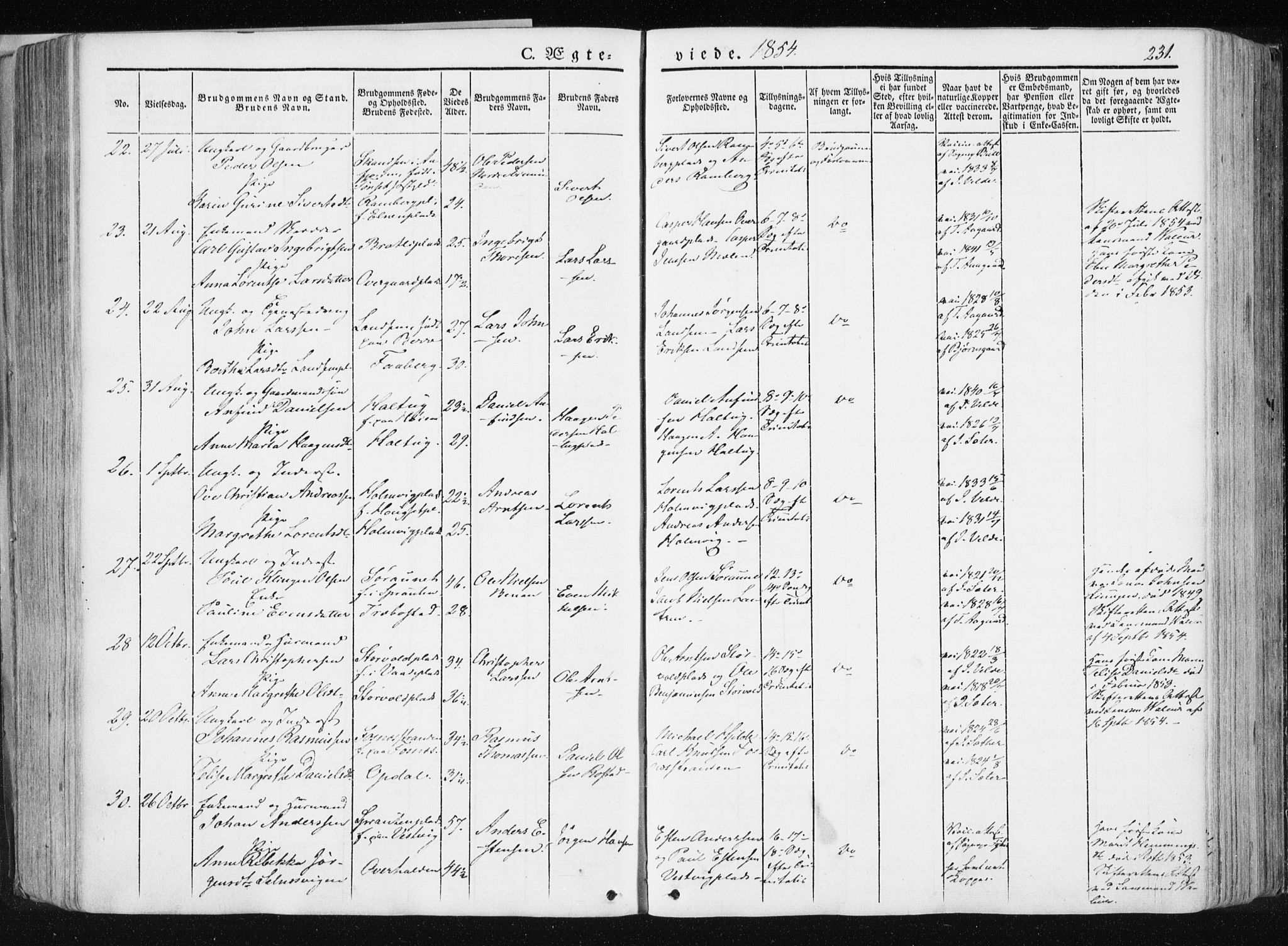 Ministerialprotokoller, klokkerbøker og fødselsregistre - Nord-Trøndelag, SAT/A-1458/741/L0393: Parish register (official) no. 741A07, 1849-1863, p. 231