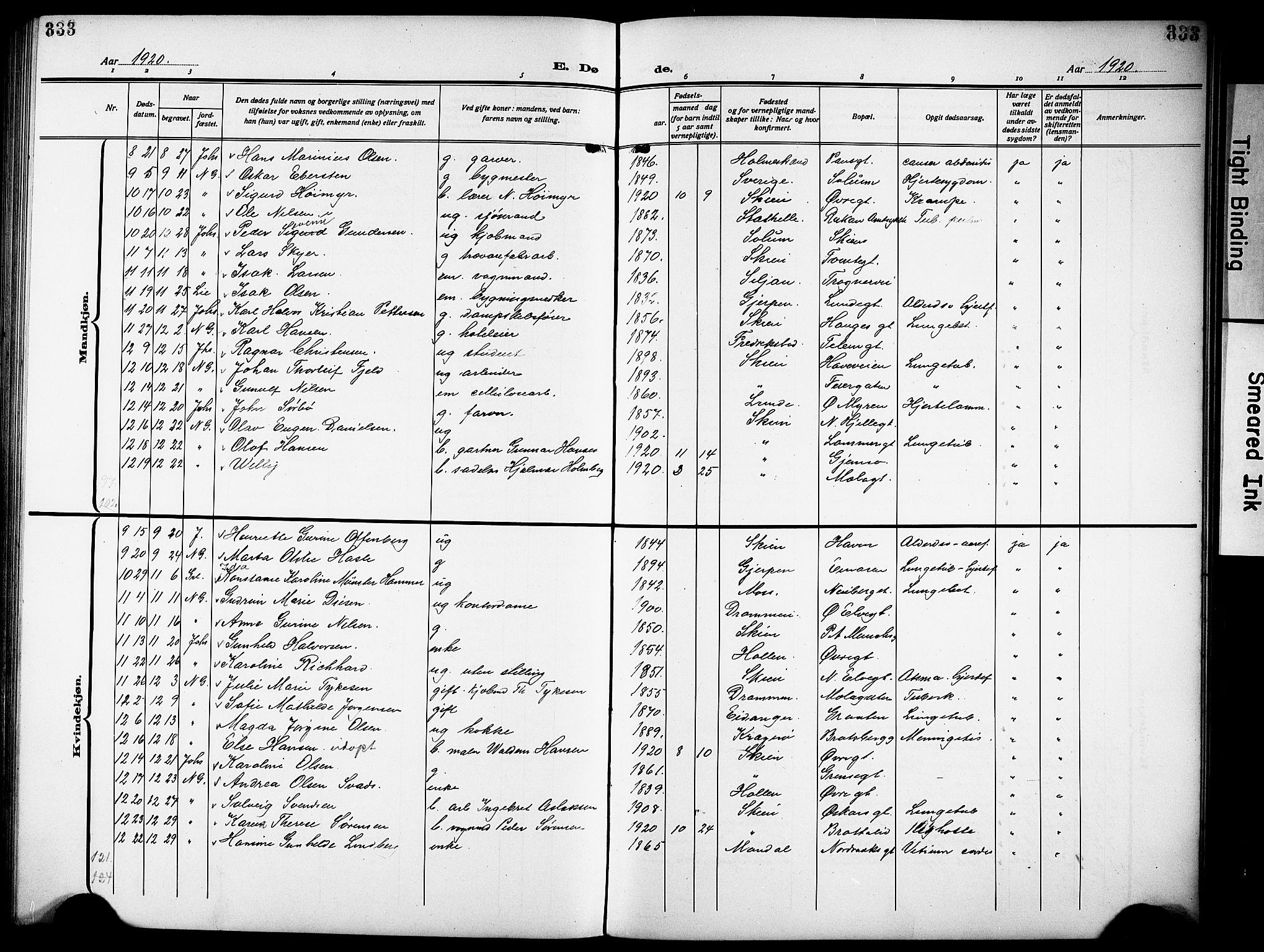 Skien kirkebøker, AV/SAKO-A-302/G/Ga/L0010: Parish register (copy) no. 10, 1920-1931, p. 333