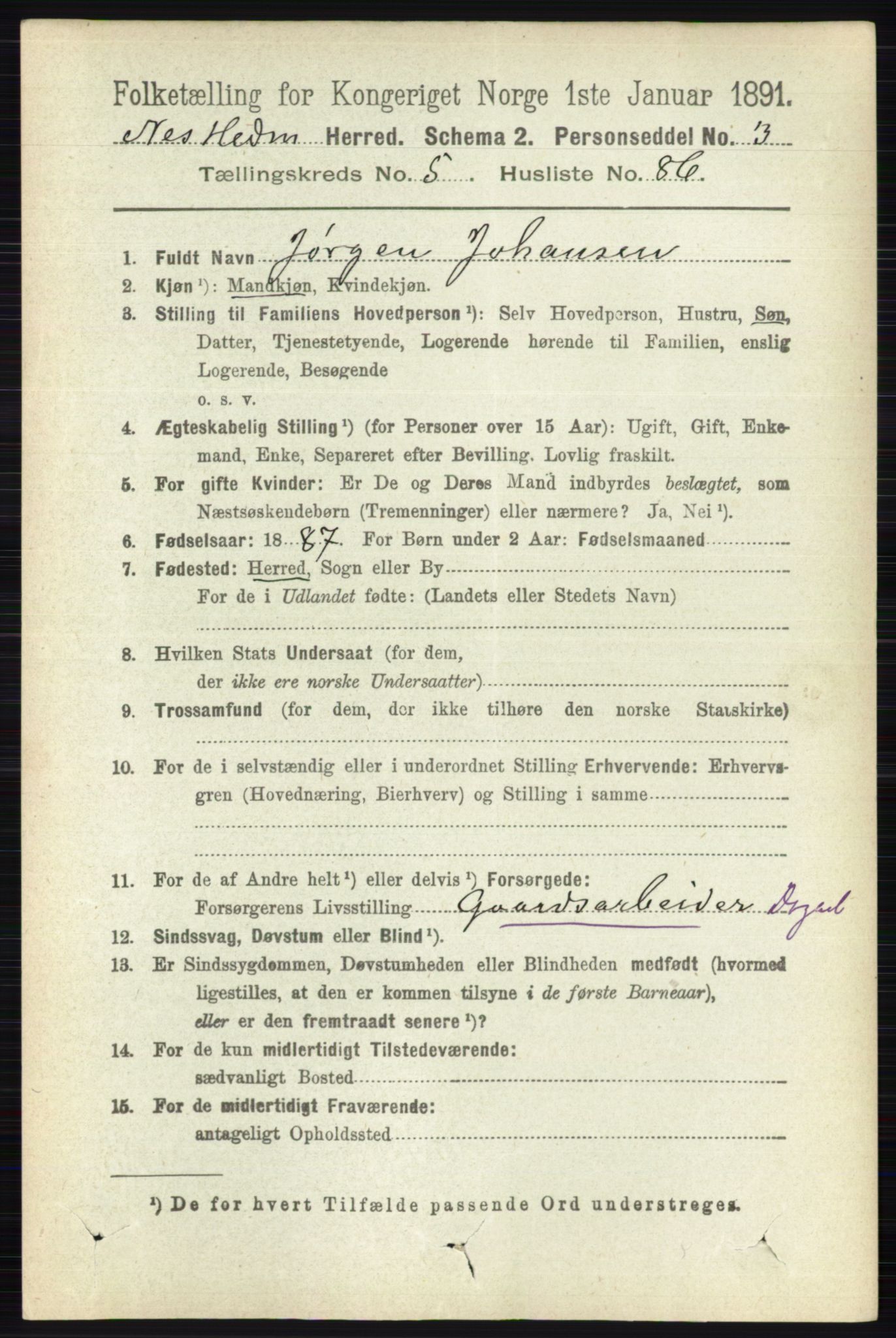 RA, 1891 census for 0411 Nes, 1891, p. 3164