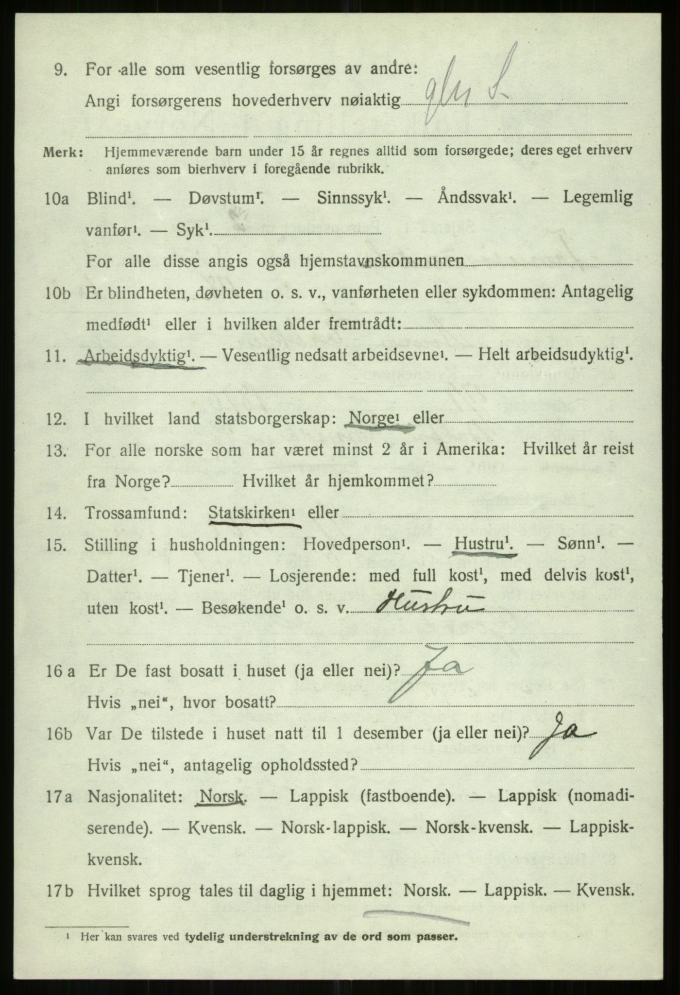 SATØ, 1920 census for Tromsøysund, 1920, p. 14245