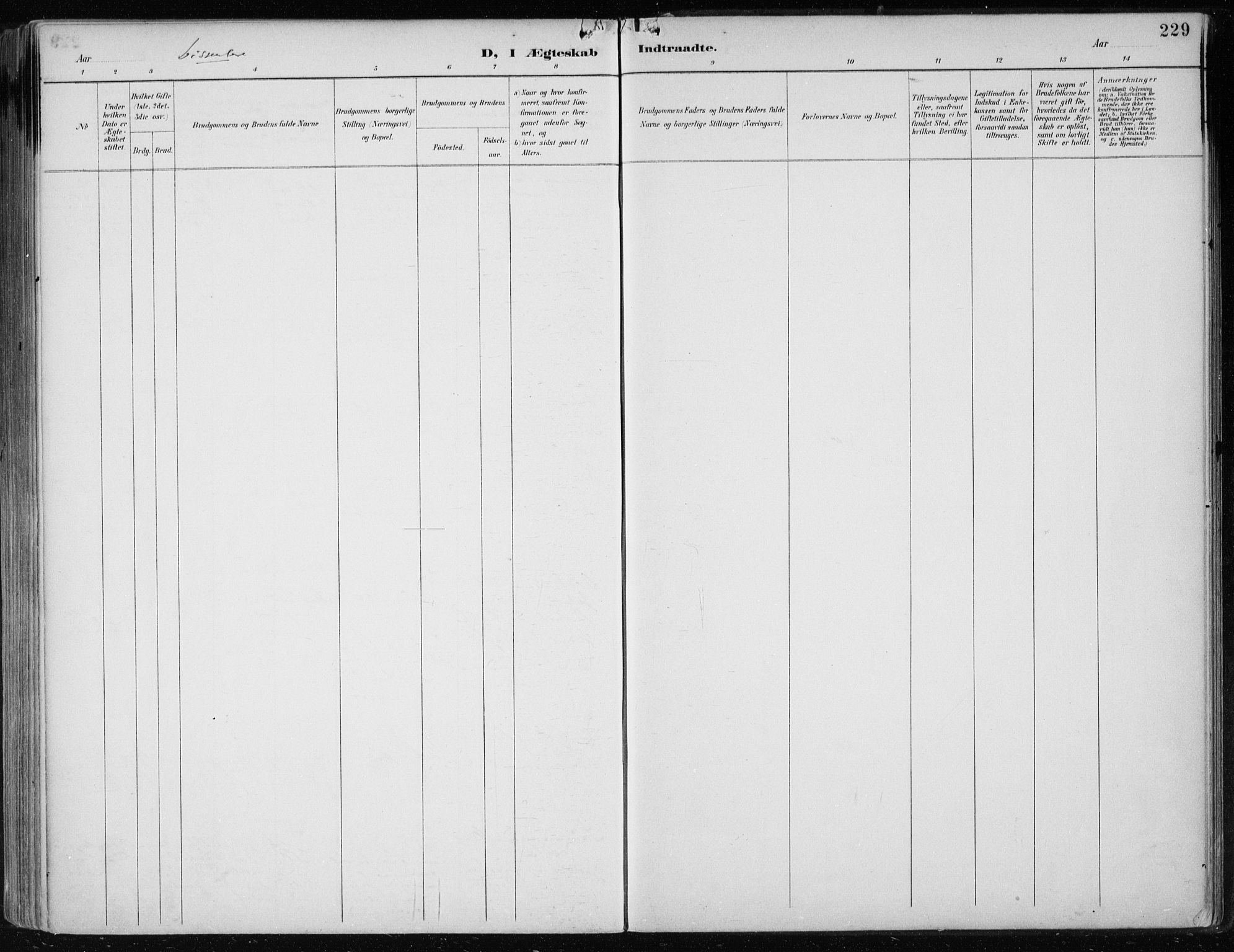 Askøy Sokneprestembete, SAB/A-74101/H/Ha/Haa/Haae/L0003: Parish register (official) no. E 3, 1891-1903, p. 229