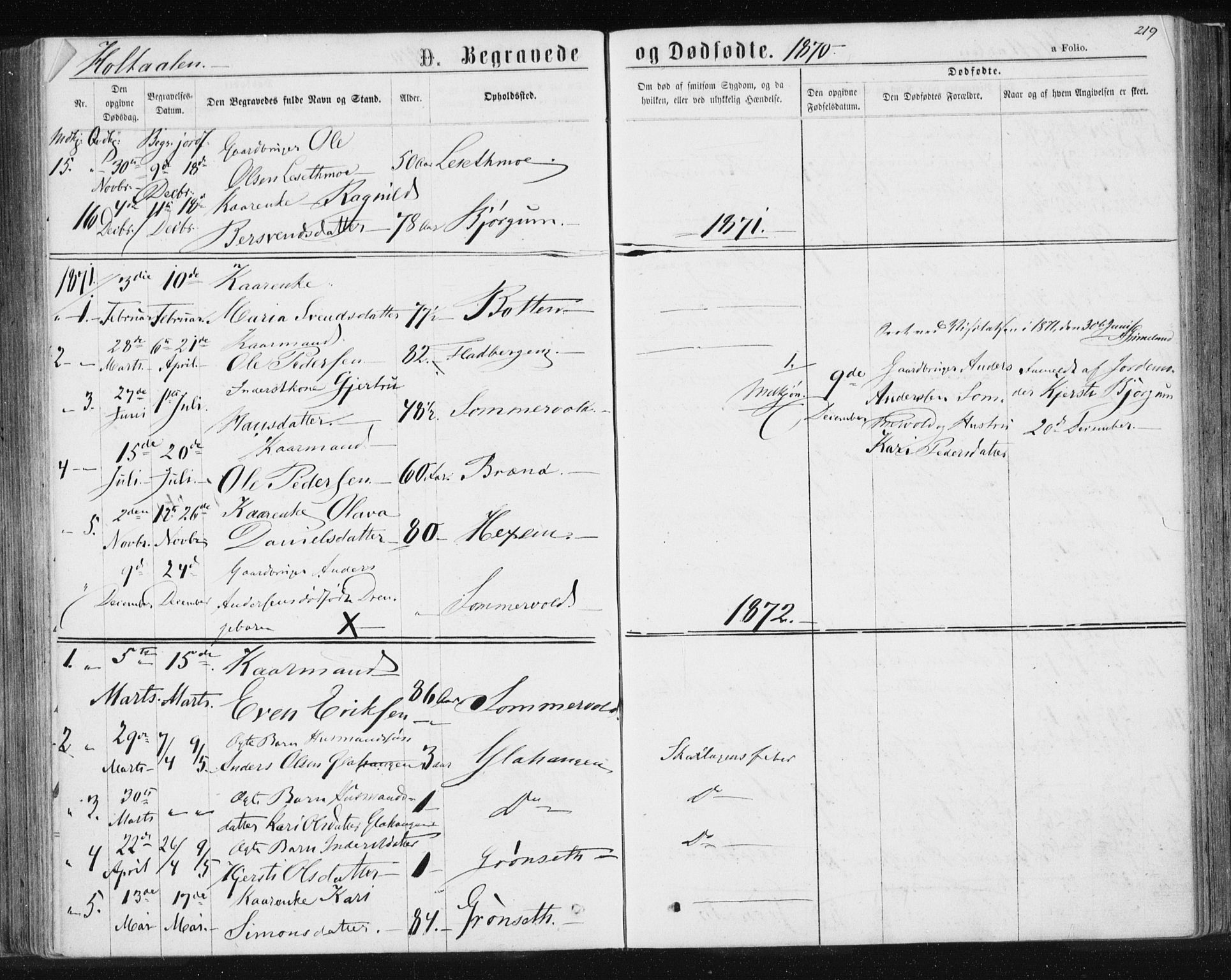 Ministerialprotokoller, klokkerbøker og fødselsregistre - Sør-Trøndelag, SAT/A-1456/685/L0969: Parish register (official) no. 685A08 /1, 1870-1878, p. 219