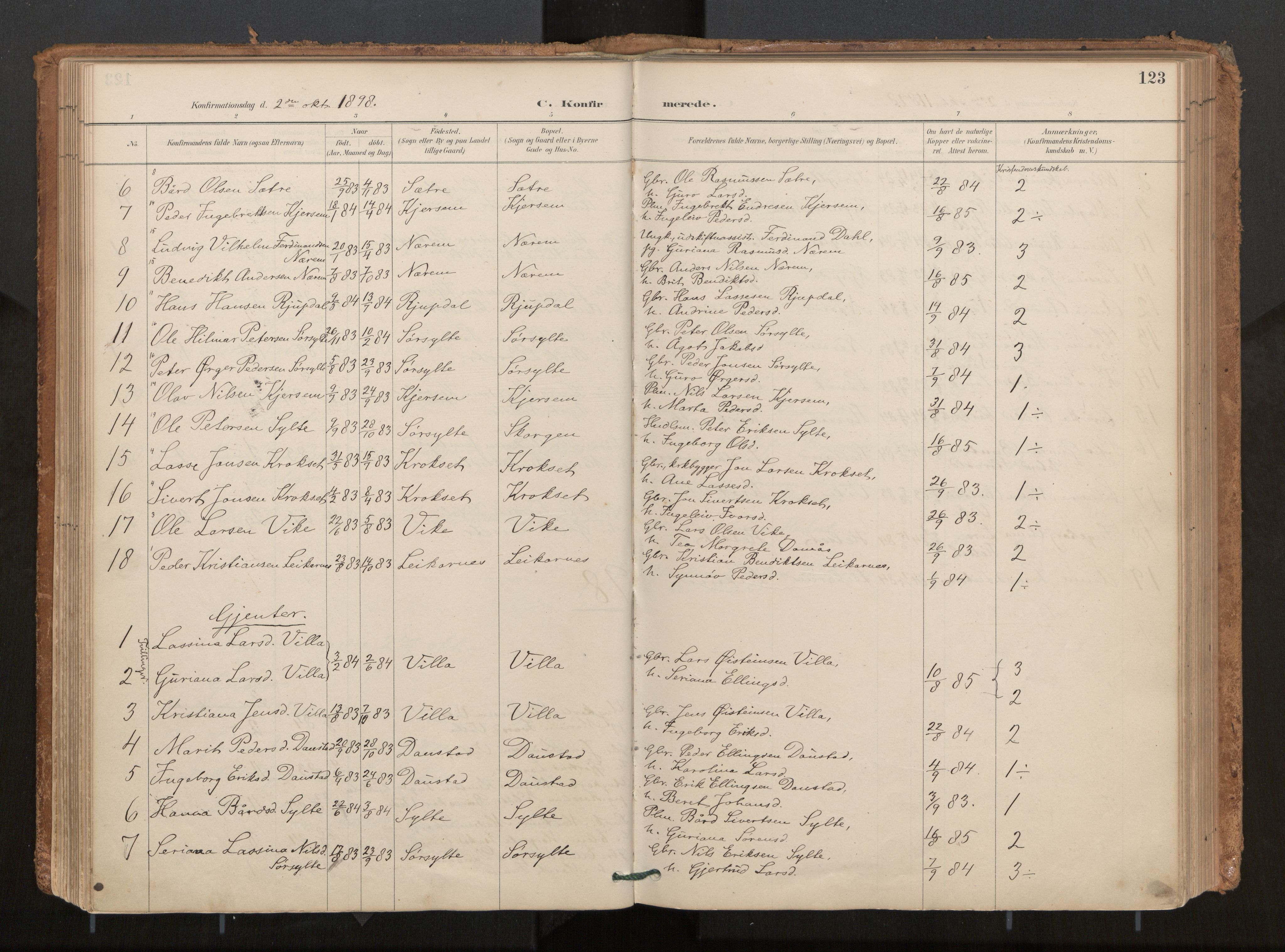 Ministerialprotokoller, klokkerbøker og fødselsregistre - Møre og Romsdal, AV/SAT-A-1454/541/L0545a: Parish register (official) no. 541A03, 1887-1912, p. 123