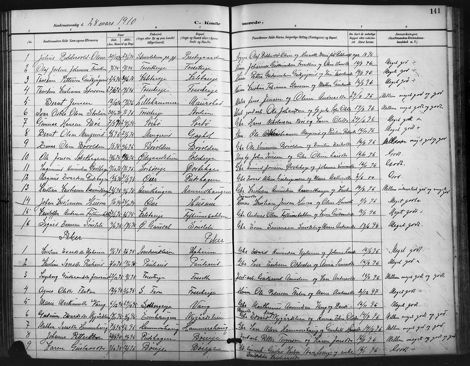 Vestre Gausdal prestekontor, SAH/PREST-094/H/Ha/Hab/L0003: Parish register (copy) no. 3, 1896-1925, p. 141