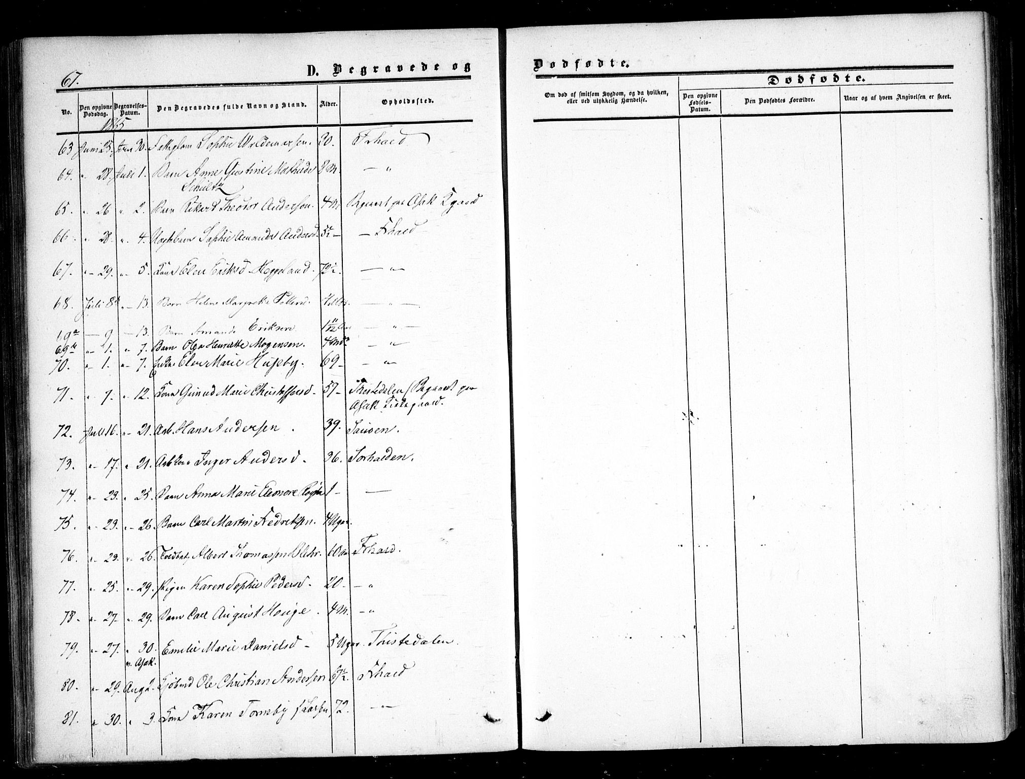 Halden prestekontor Kirkebøker, AV/SAO-A-10909/F/Fa/L0008: Parish register (official) no. I 8, 1857-1865, p. 67