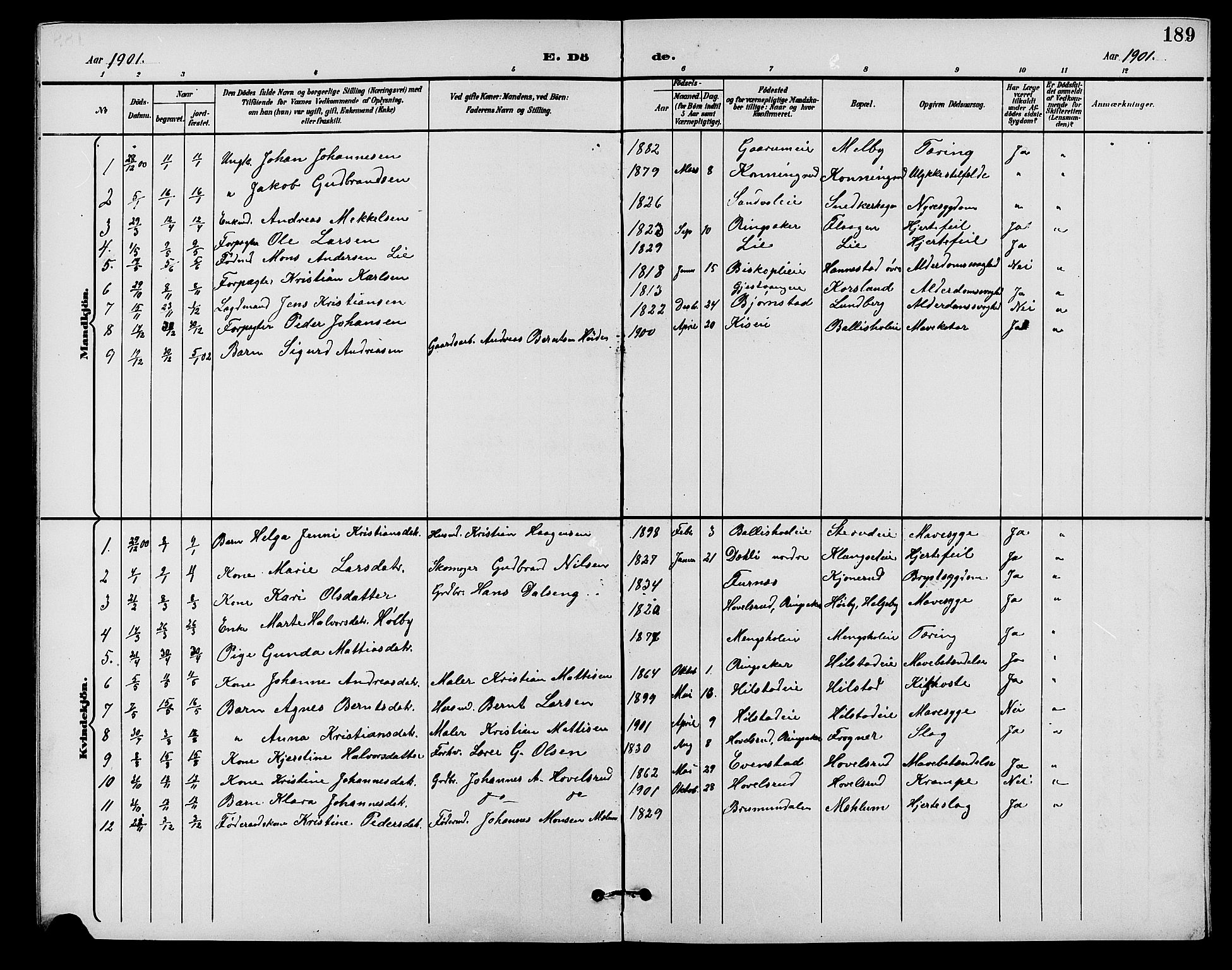 Nes prestekontor, Hedmark, SAH/PREST-020/L/La/L0007: Parish register (copy) no. 7, 1892-1912, p. 189