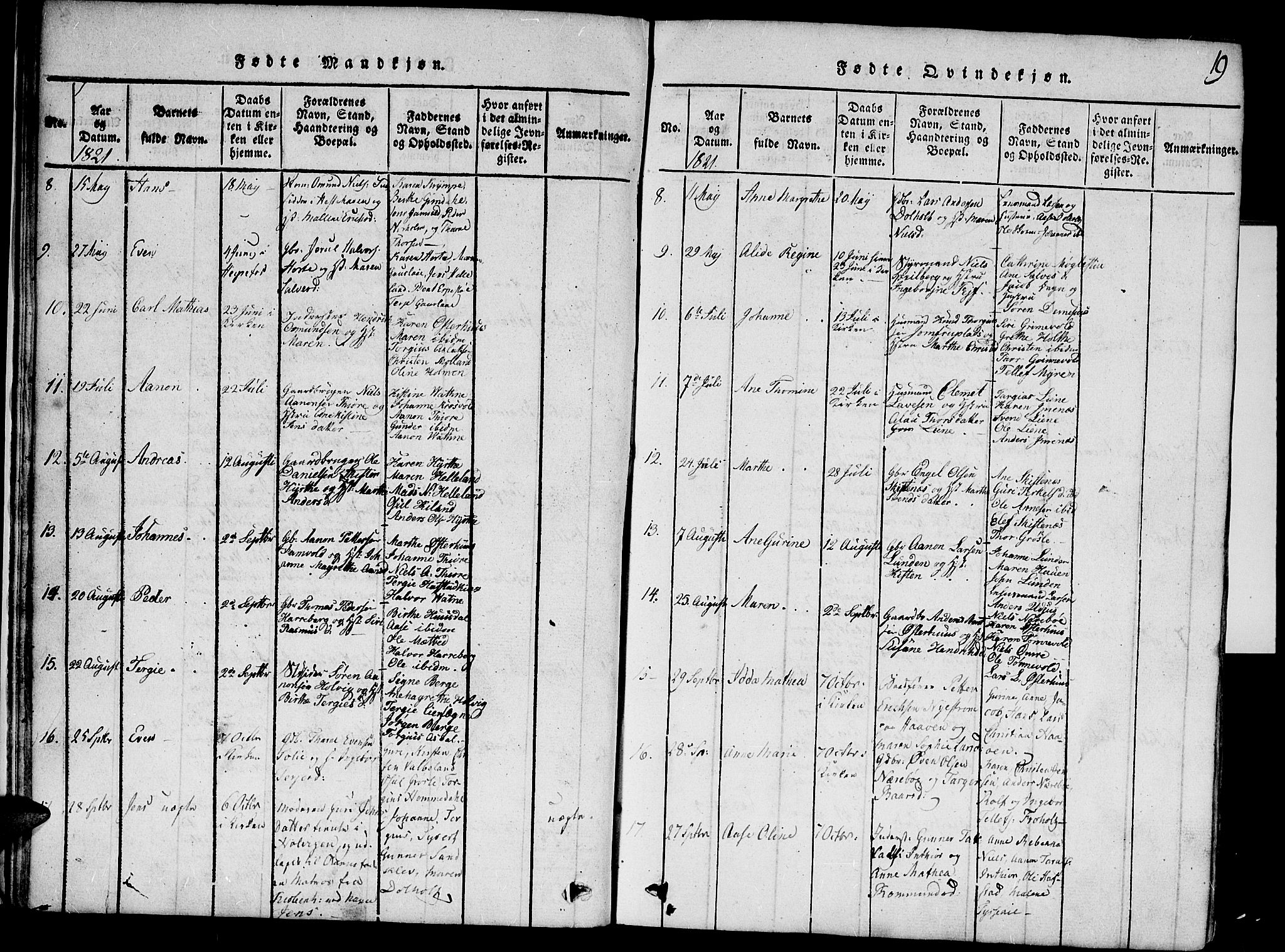 Hommedal sokneprestkontor, SAK/1111-0023/F/Fa/Fab/L0003: Parish register (official) no. A 3, 1815-1848, p. 19