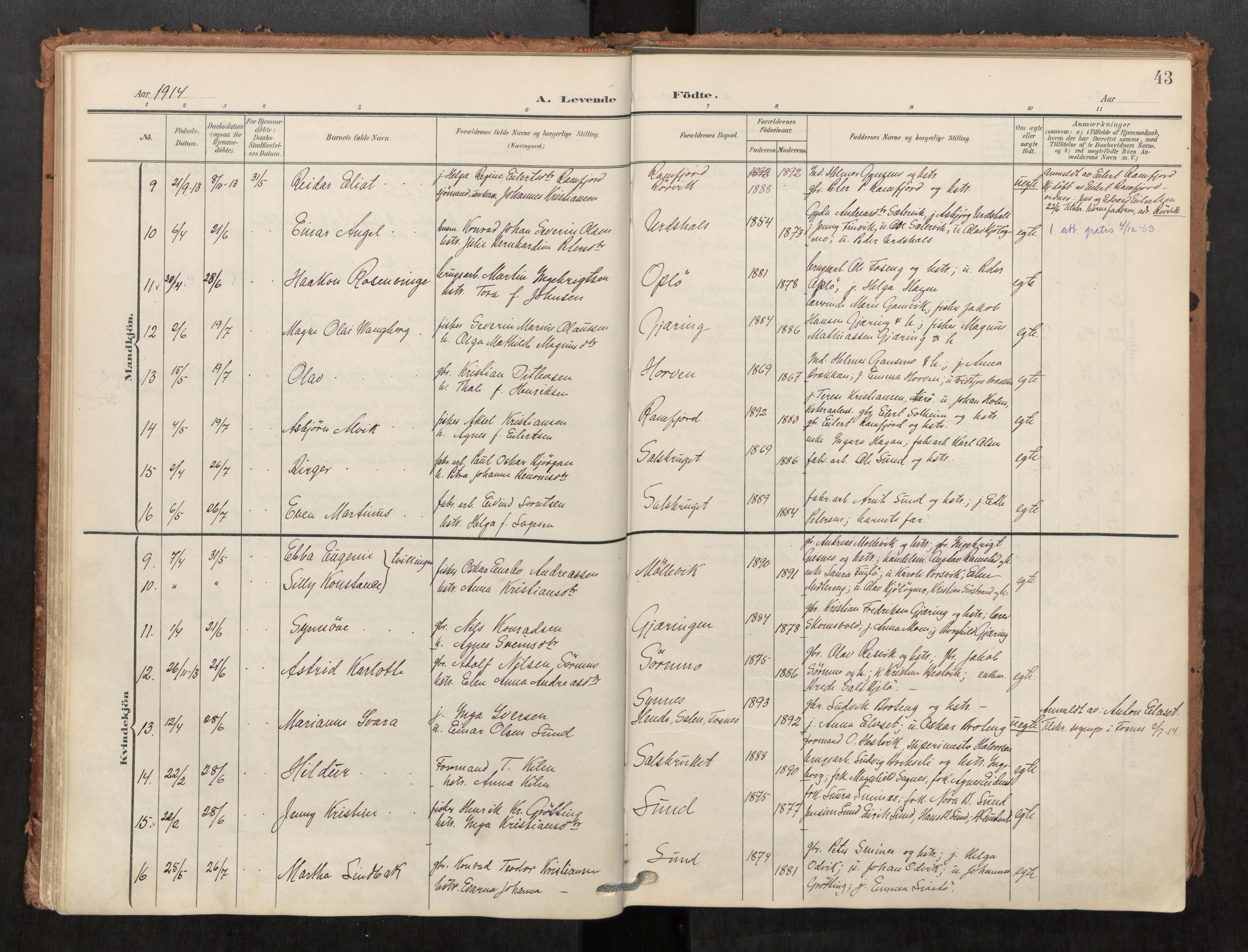 Kolvereid sokneprestkontor, SAT/A-1171/H/Ha/Haa/L0001: Parish register (official) no. 1, 1903-1922, p. 43