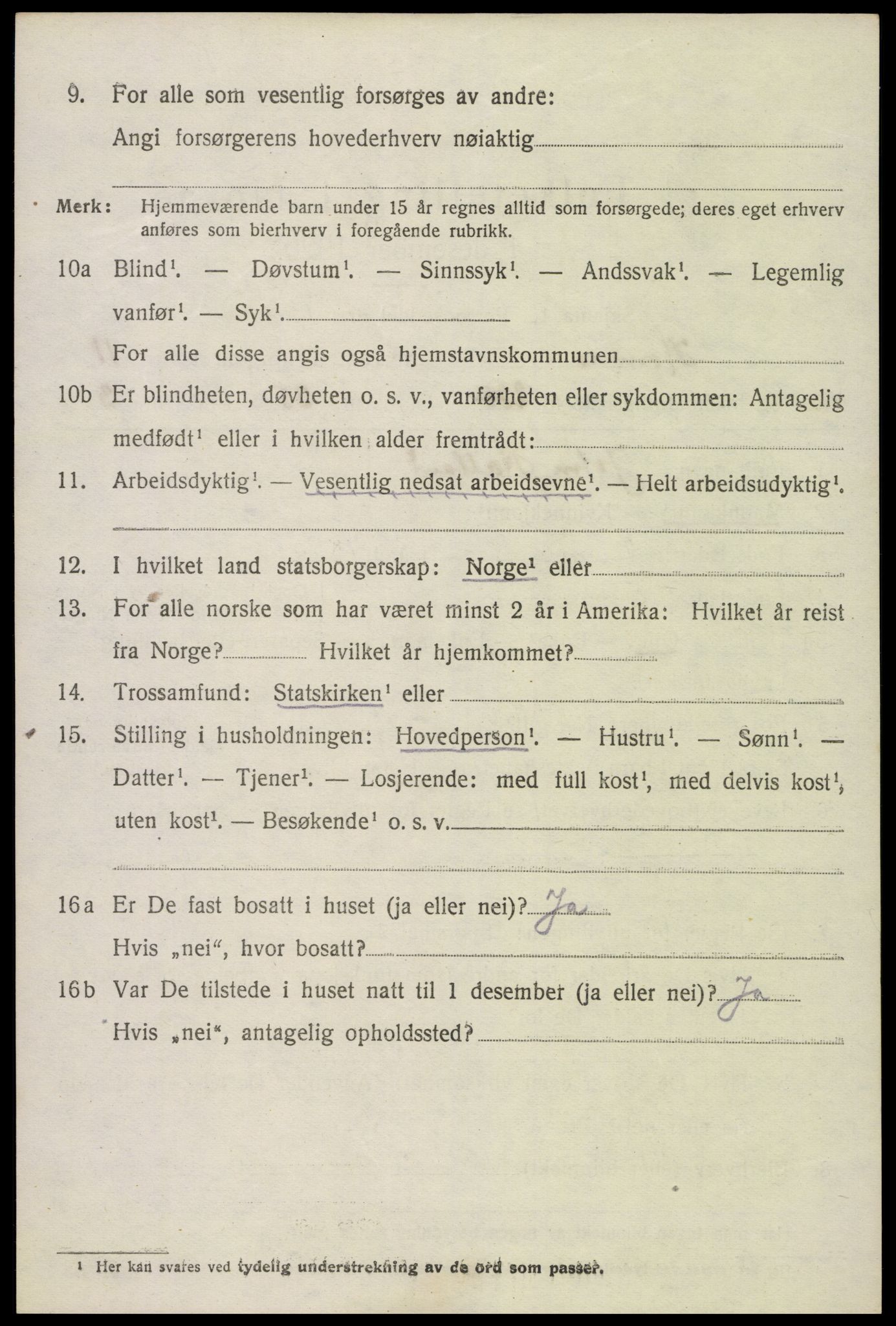 SAK, 1920 census for Hornnes, 1920, p. 2658
