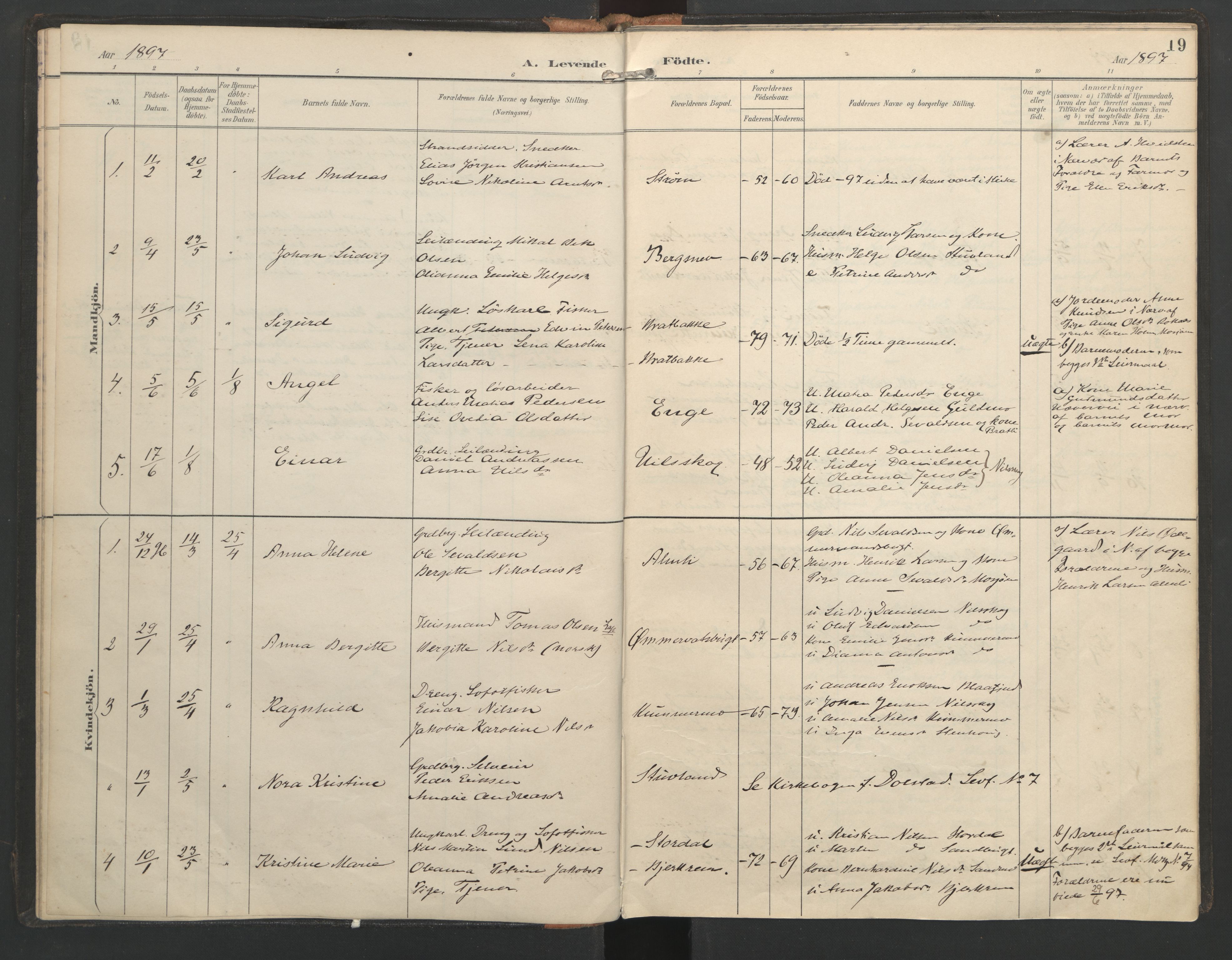 Ministerialprotokoller, klokkerbøker og fødselsregistre - Nordland, SAT/A-1459/821/L0317: Parish register (official) no. 821A01, 1892-1907, p. 19