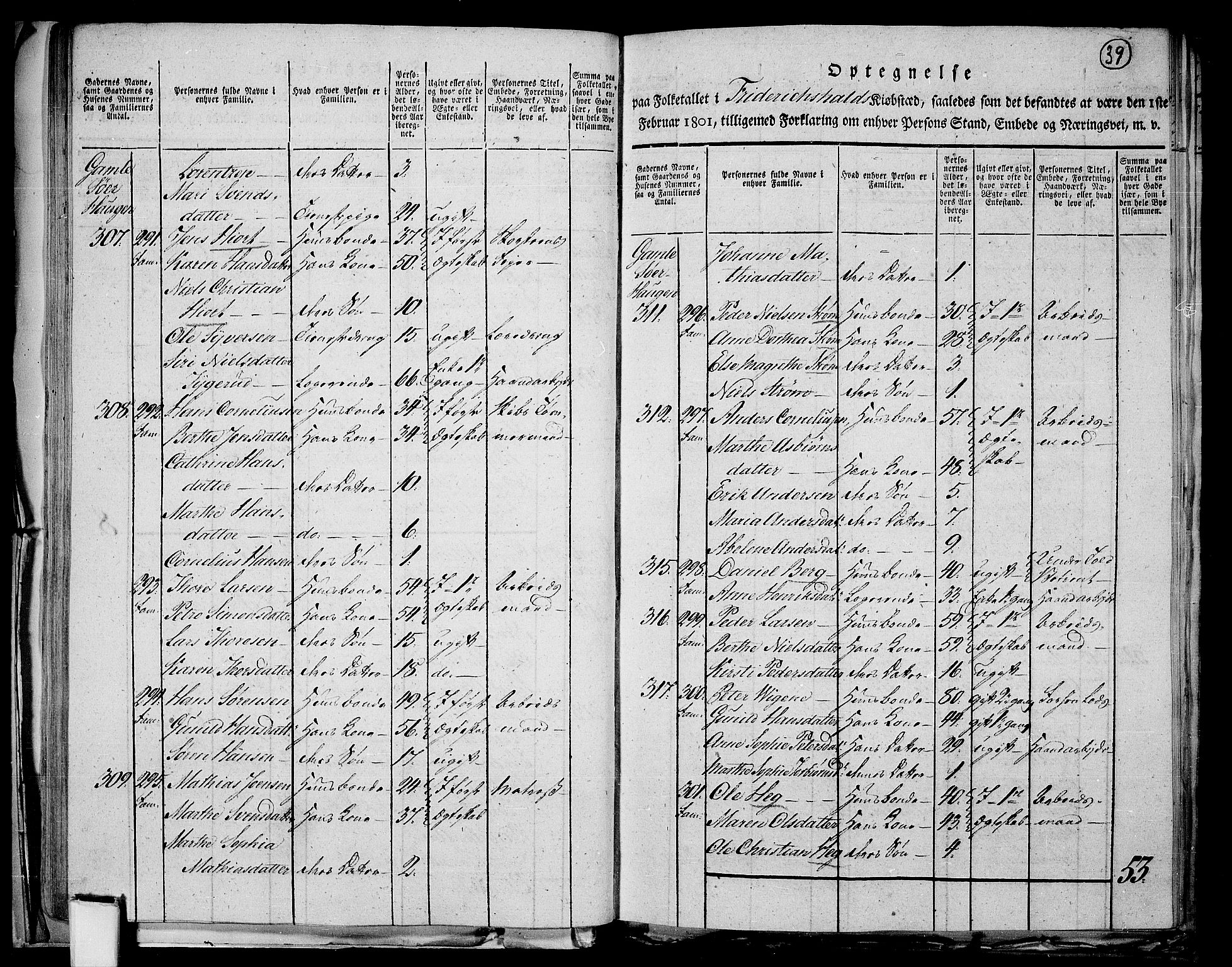 RA, 1801 census for 0101P Fredrikshald, 1801, p. 38b-39a