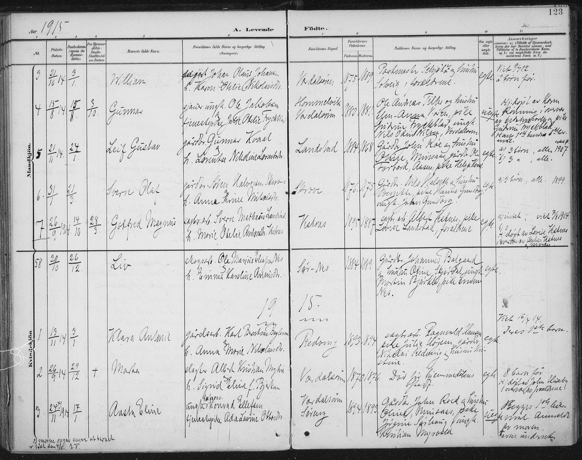 Ministerialprotokoller, klokkerbøker og fødselsregistre - Nord-Trøndelag, SAT/A-1458/723/L0246: Parish register (official) no. 723A15, 1900-1917, p. 123