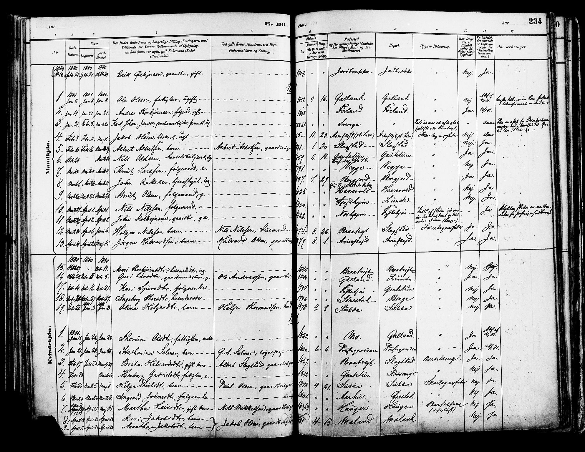 Suldal sokneprestkontor, AV/SAST-A-101845/01/IV/L0011: Parish register (official) no. A 11, 1878-1900, p. 234