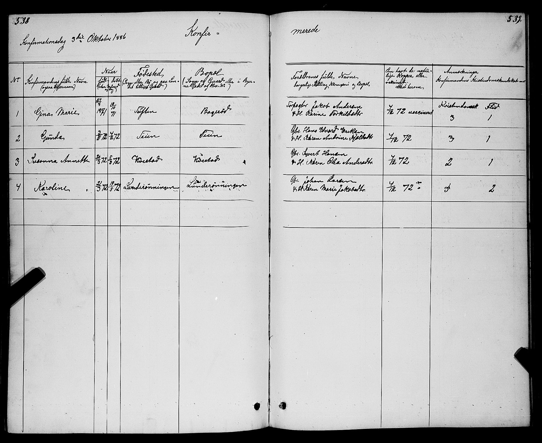 Ramnes kirkebøker, AV/SAKO-A-314/G/Gc/L0001: Parish register (copy) no. III 1, 1869-1903, p. 538-539