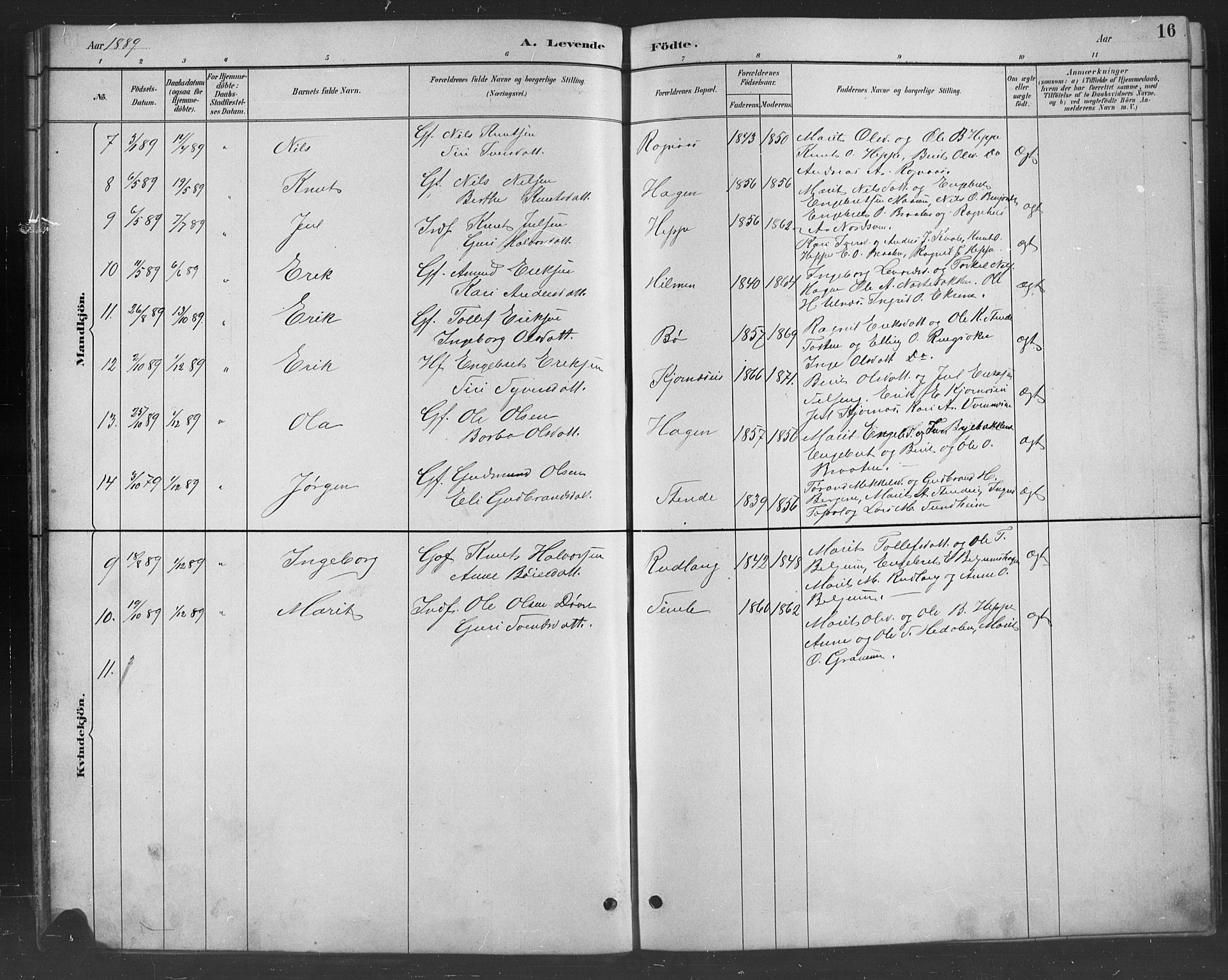 Nord-Aurdal prestekontor, SAH/PREST-132/H/Ha/Hab/L0008: Parish register (copy) no. 8, 1883-1916, p. 16