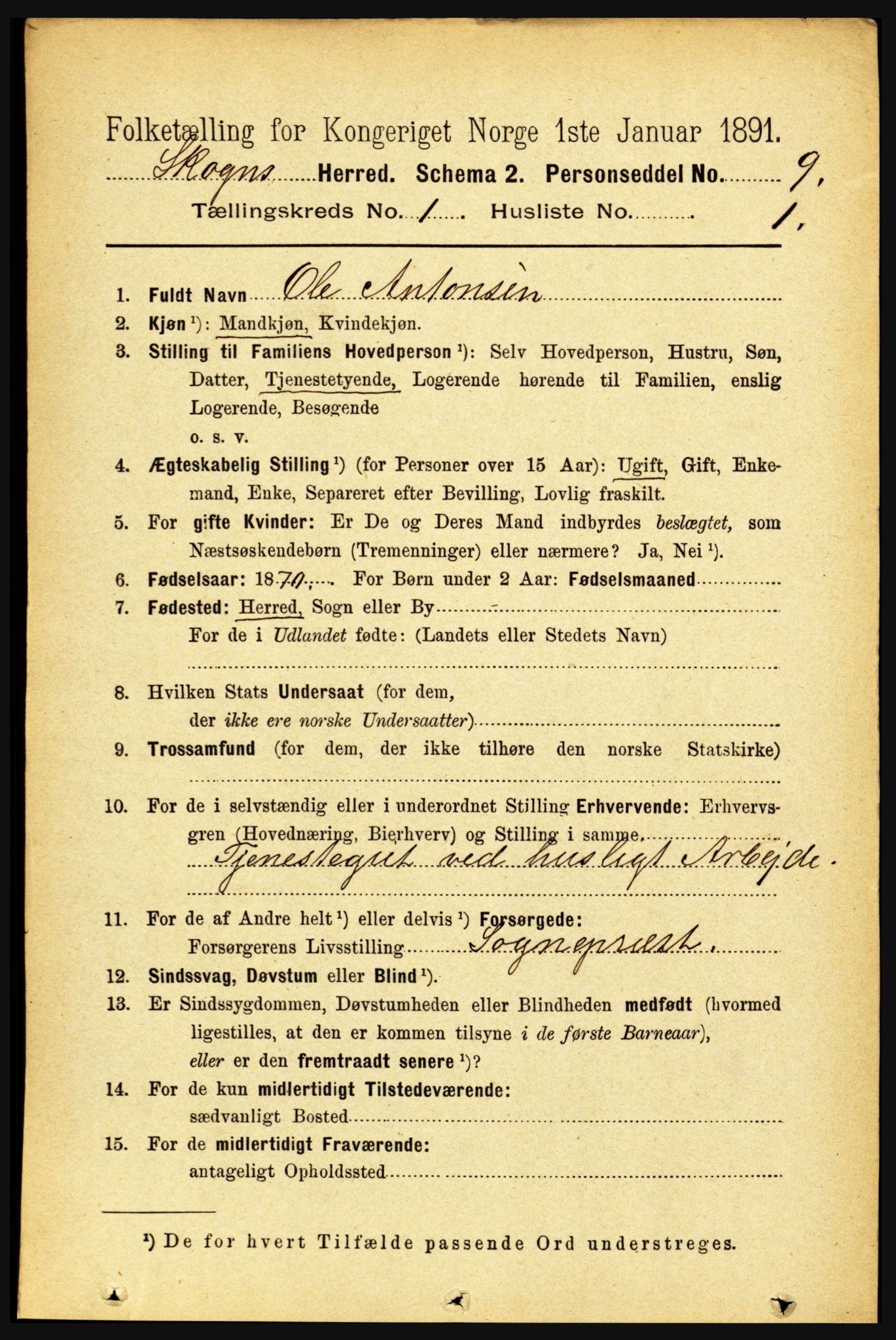 RA, 1891 census for 1719 Skogn, 1891, p. 155