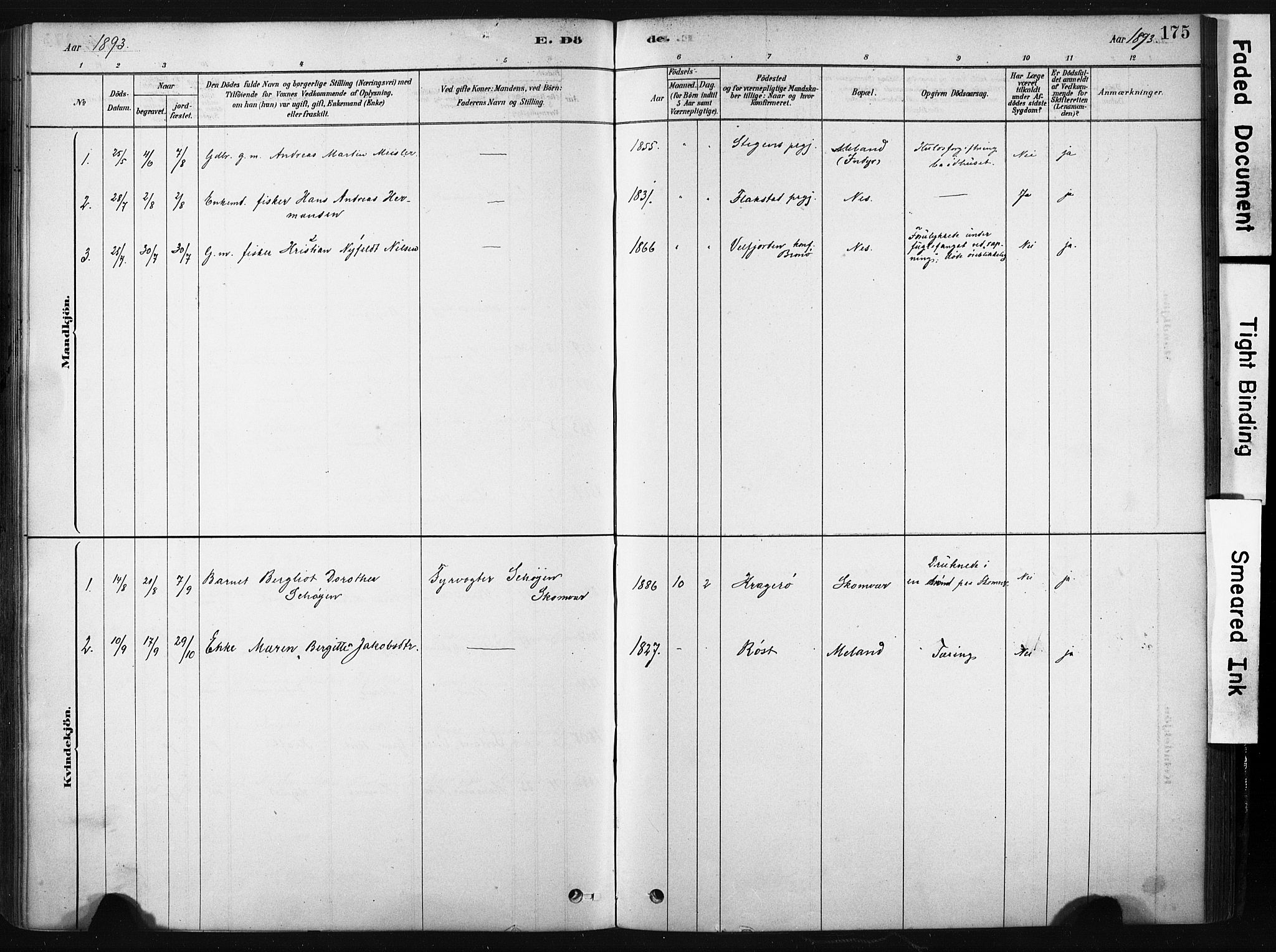 Ministerialprotokoller, klokkerbøker og fødselsregistre - Nordland, AV/SAT-A-1459/808/L0128: Parish register (official) no. 808A01, 1880-1902, p. 175