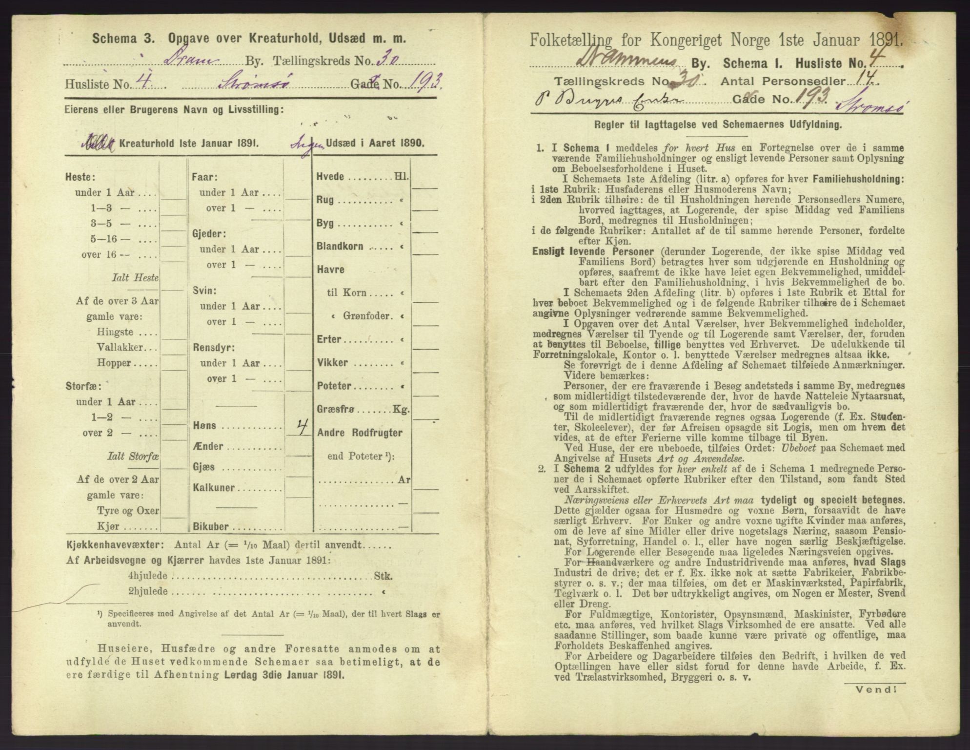 RA, 1891 census for 0602 Drammen, 1891, p. 2571