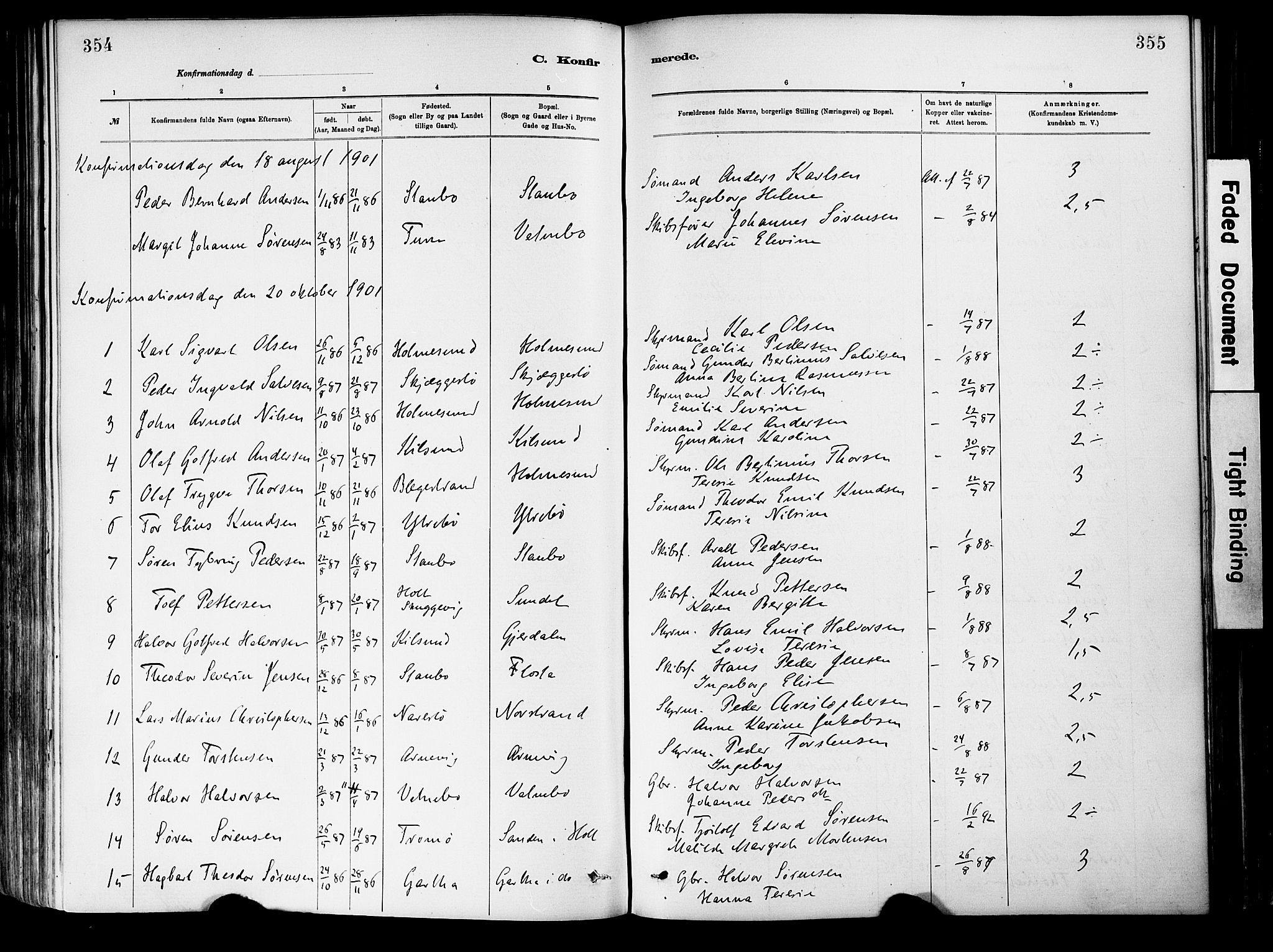 Dypvåg sokneprestkontor, SAK/1111-0007/F/Fa/Fab/L0001: Parish register (official) no. A 1, 1885-1912, p. 354-355