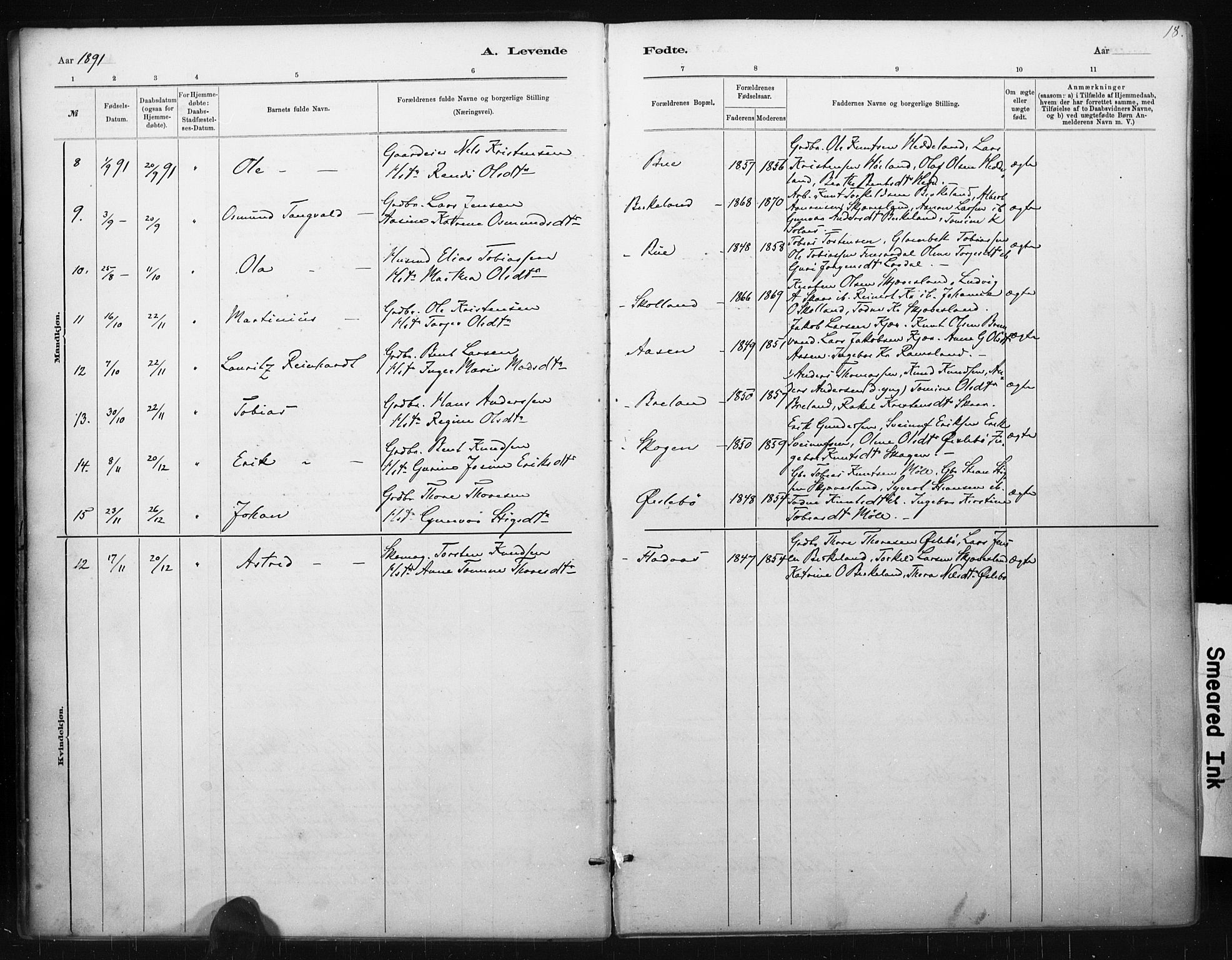 Holum sokneprestkontor, AV/SAK-1111-0022/F/Fa/Fac/L0004: Parish register (official) no. A 4, 1884-1907, p. 18