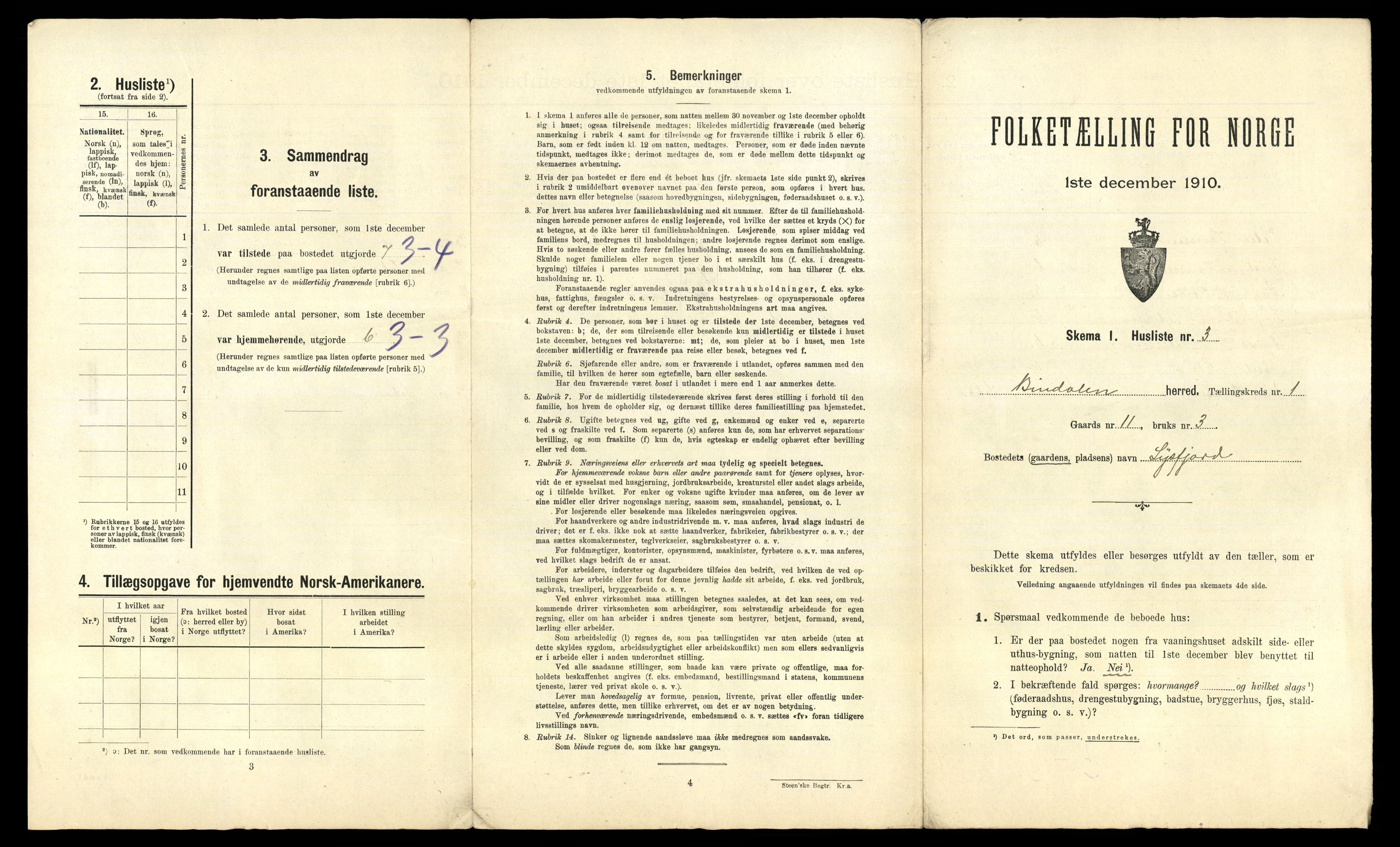 RA, 1910 census for Bindal, 1910, p. 38