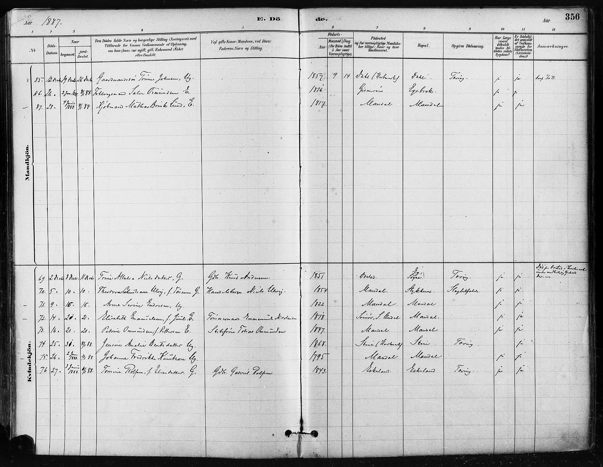 Mandal sokneprestkontor, AV/SAK-1111-0030/F/Fa/Faa/L0016: Parish register (official) no. A 16, 1880-1890, p. 356