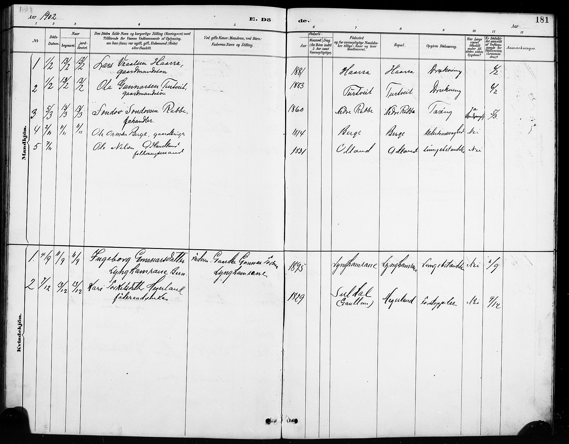 Røldal sokneprestembete, SAB/A-100247: Parish register (copy) no. A 3, 1887-1917, p. 181