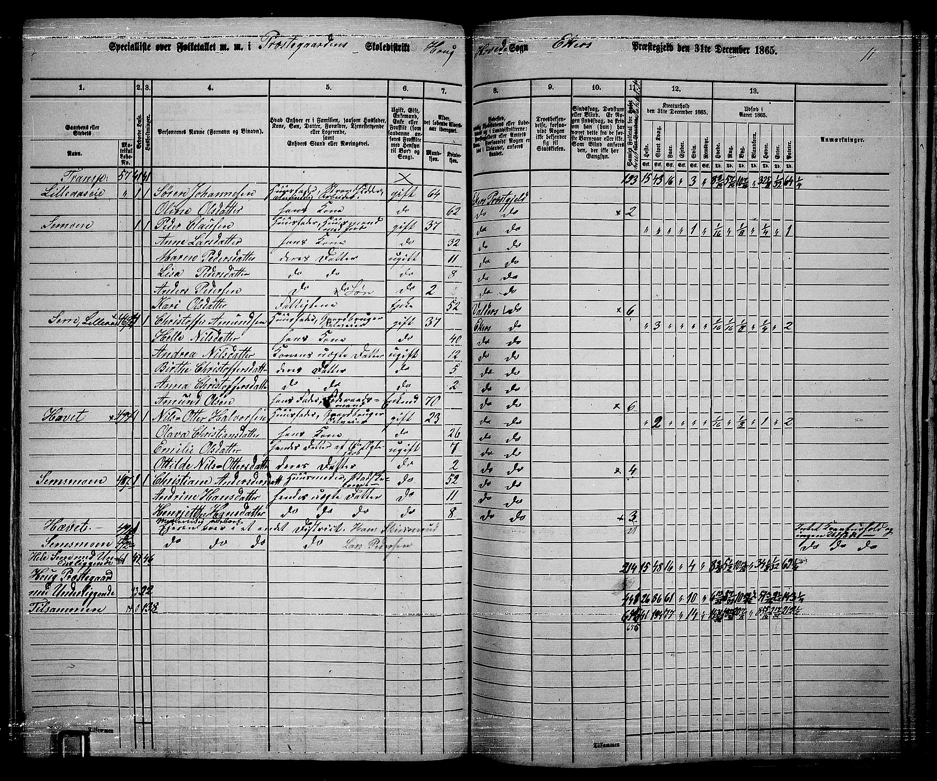 RA, 1865 census for Eiker, 1865, p. 196