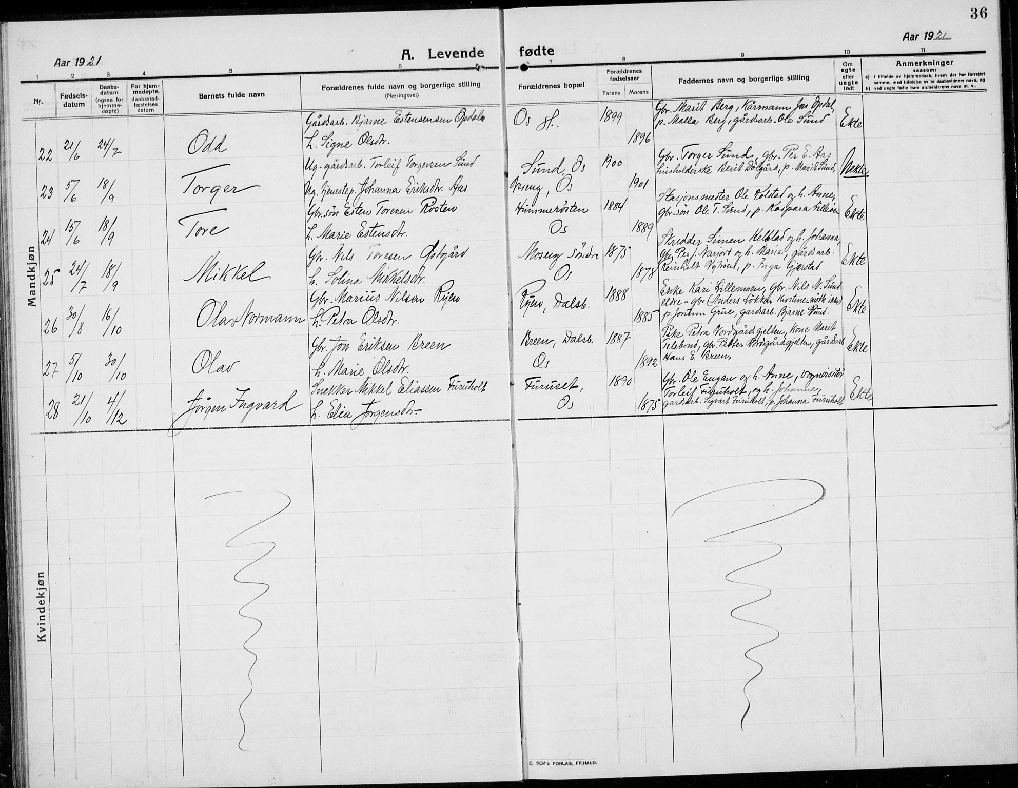 Tolga prestekontor, AV/SAH-PREST-062/L/L0014: Parish register (copy) no. 14, 1913-1936, p. 36