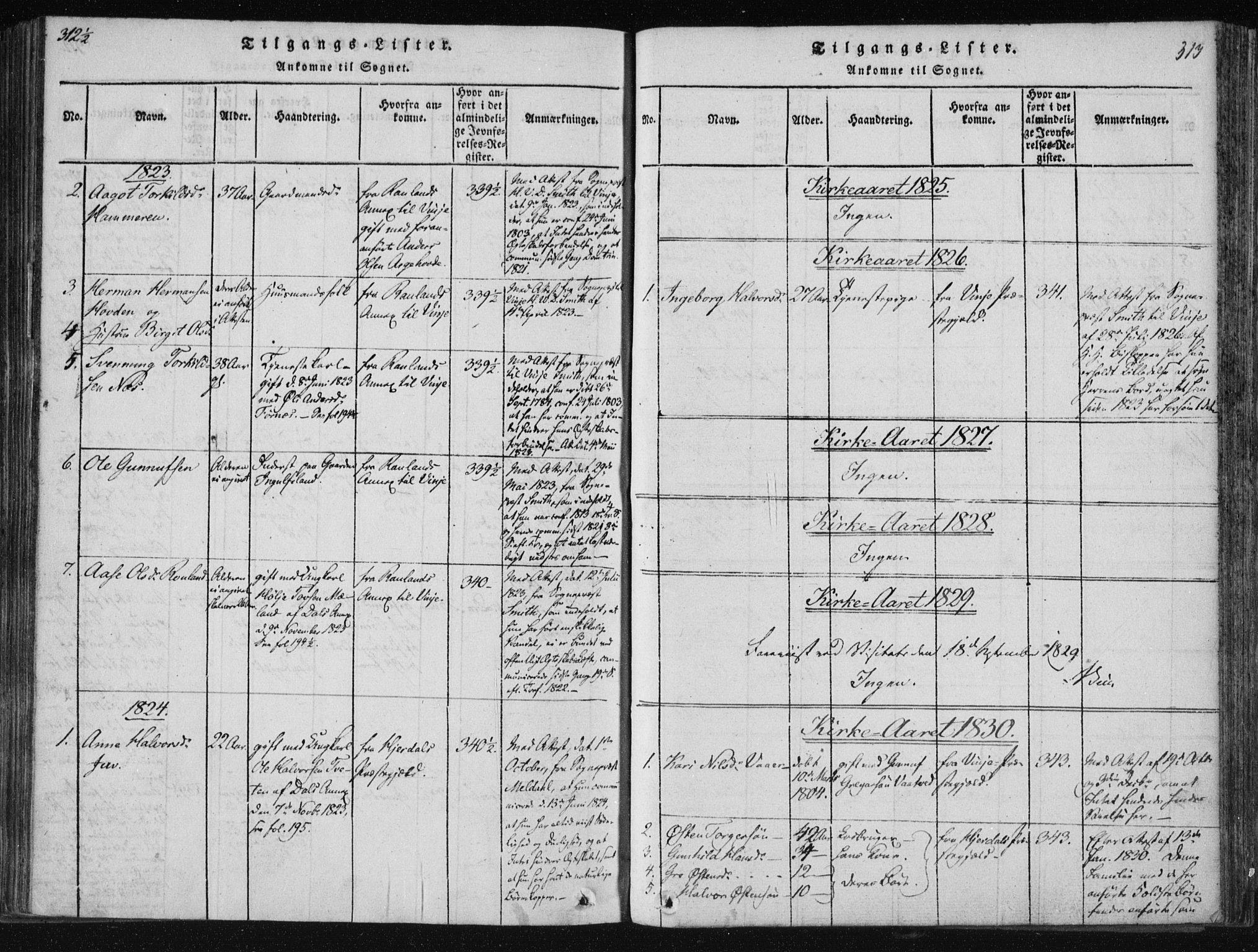 Tinn kirkebøker, SAKO/A-308/F/Fc/L0001: Parish register (official) no. III 1, 1815-1843, p. 313