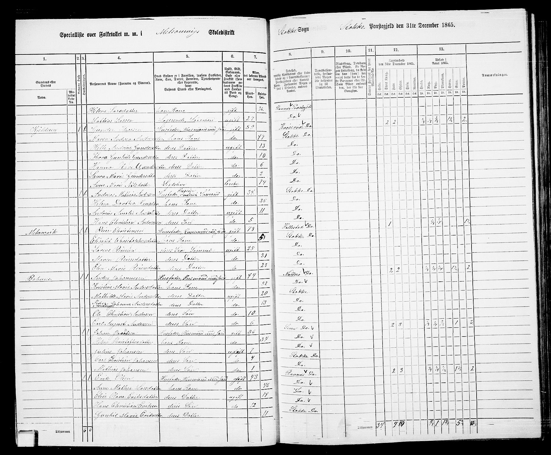 RA, 1865 census for Stokke, 1865, p. 38