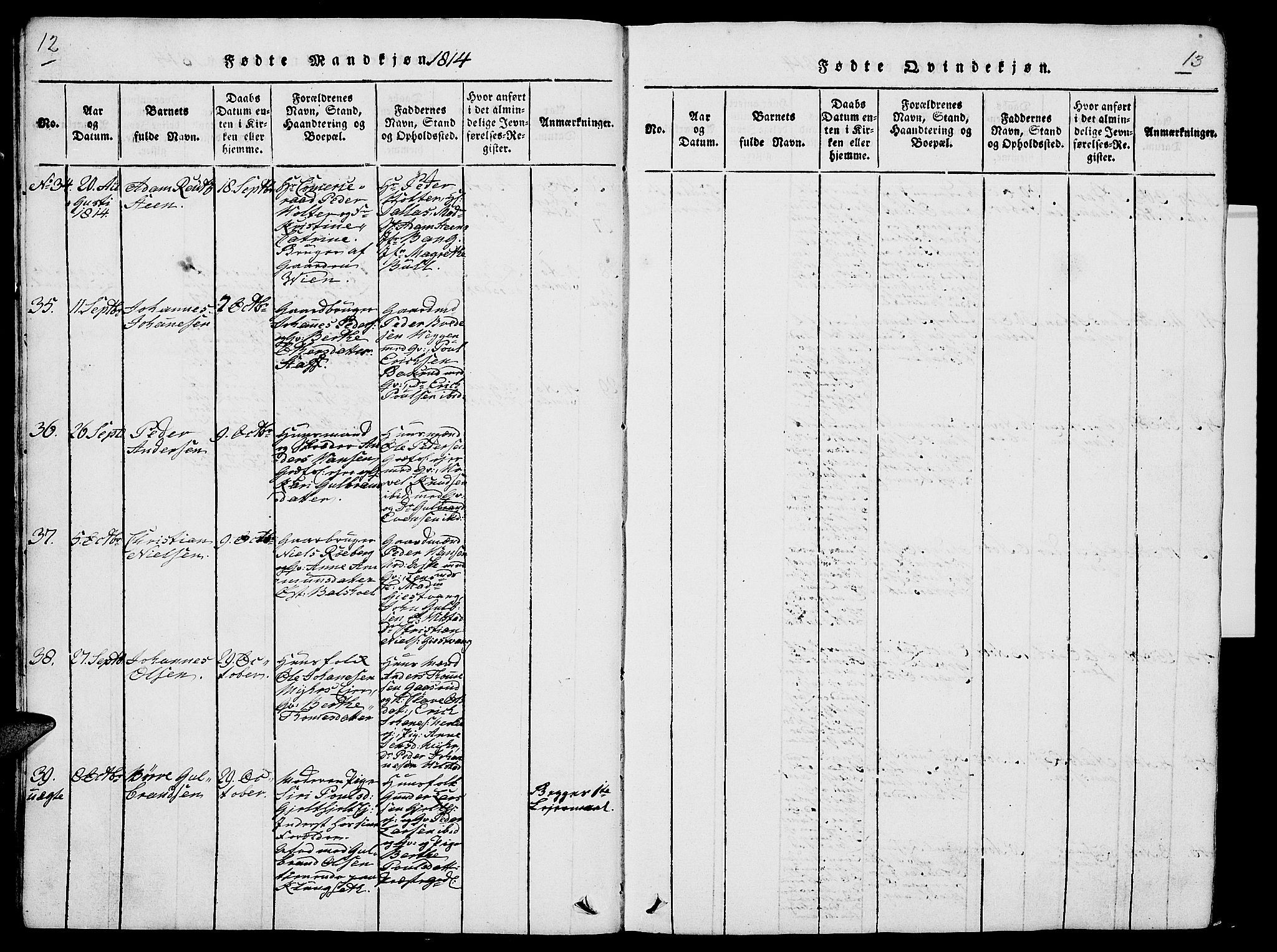 Nes prestekontor, Hedmark, AV/SAH-PREST-020/L/La/L0003: Parish register (copy) no. 3, 1814-1831, p. 12-13