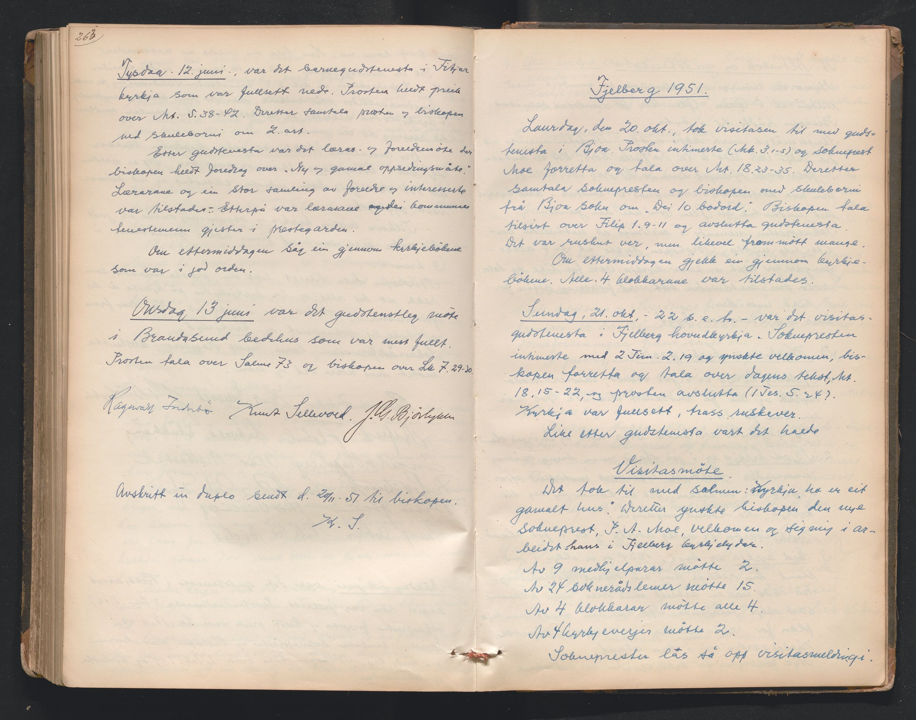Nordre Sunnhordland prosti, AV/SAB-A-99912/F/L0001: Visitasprotokoll , 1860-1959, p. 263