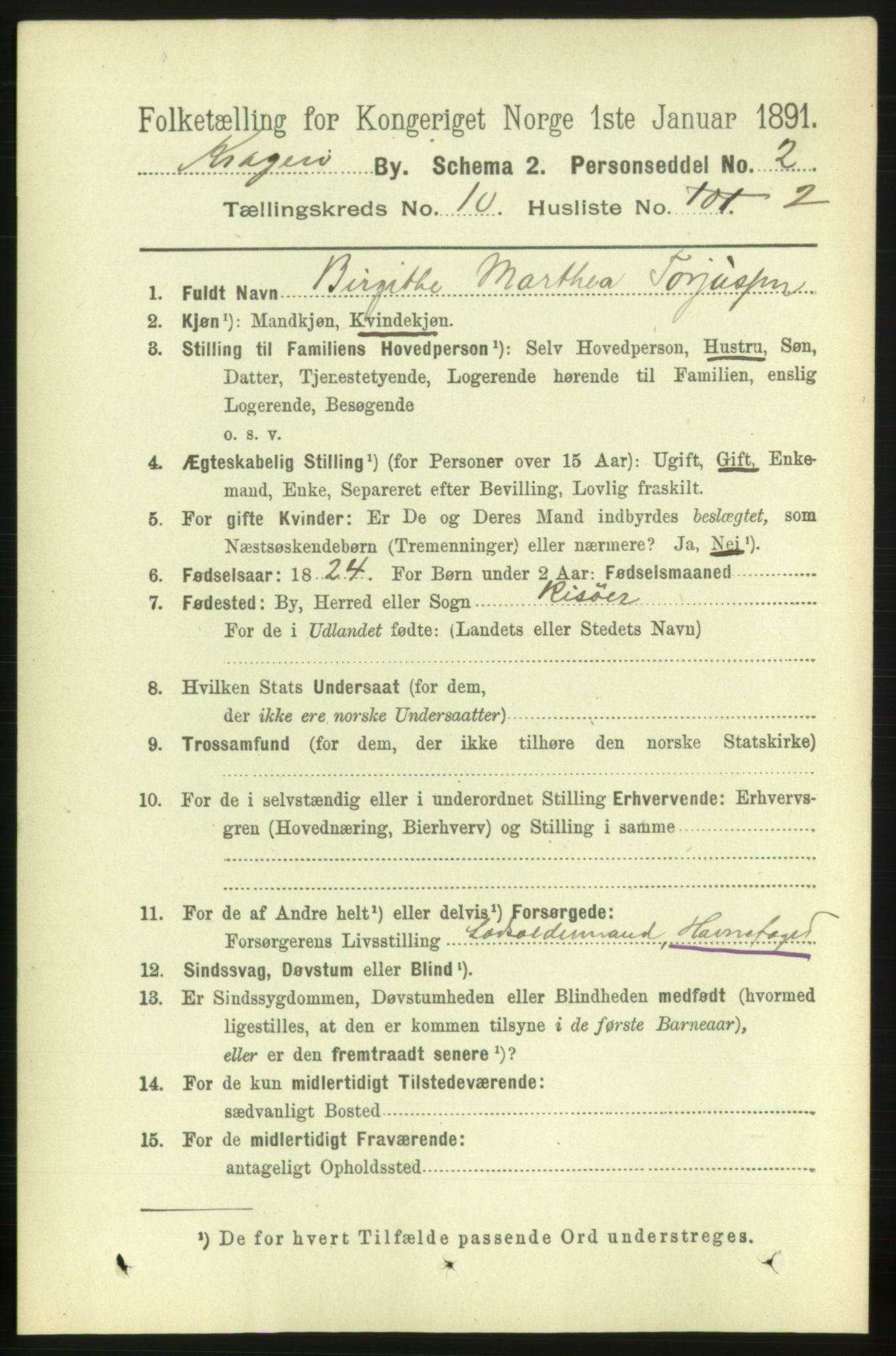 RA, 1891 census for 0801 Kragerø, 1891, p. 3765