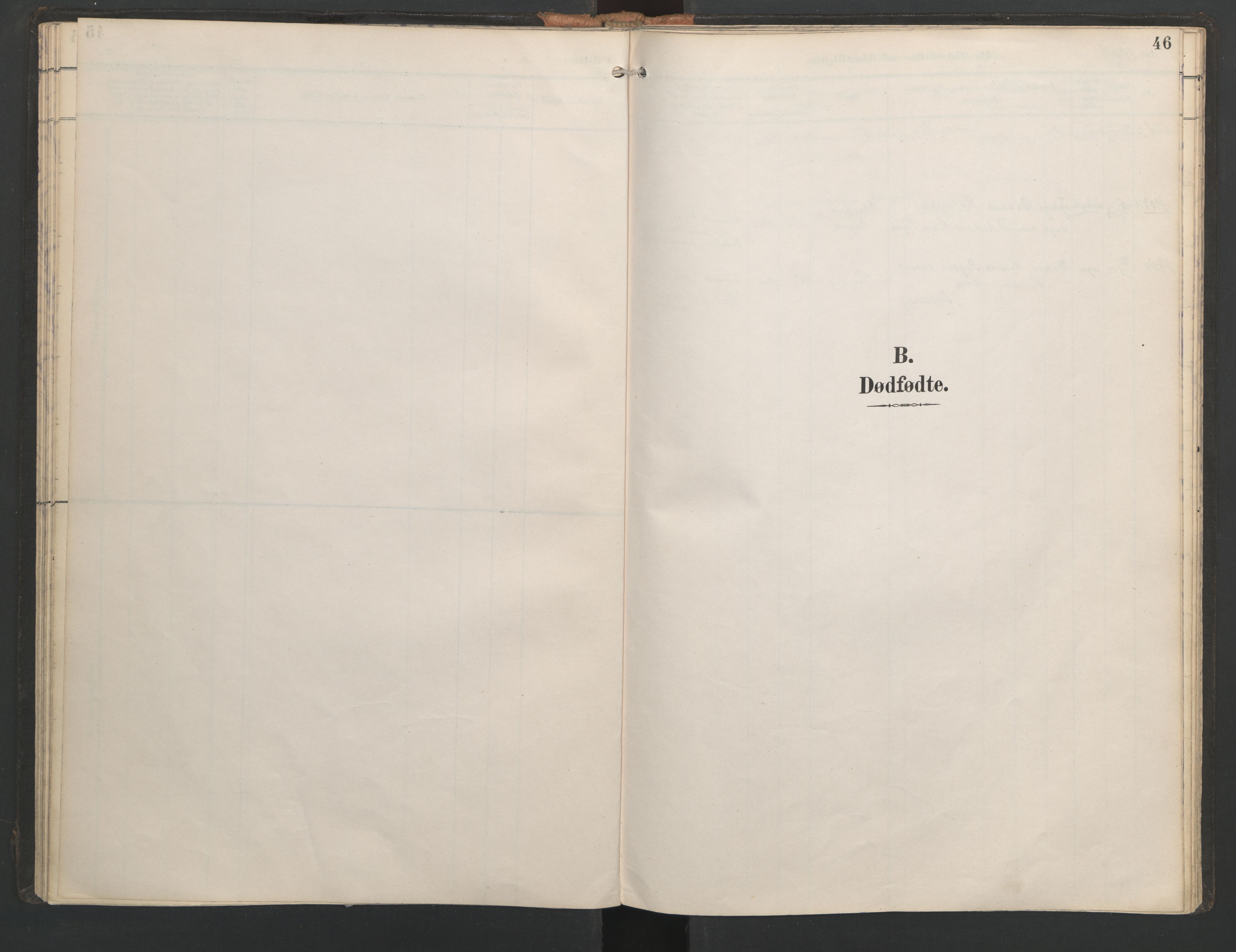 Ministerialprotokoller, klokkerbøker og fødselsregistre - Nordland, SAT/A-1459/821/L0317: Parish register (official) no. 821A01, 1892-1907, p. 46