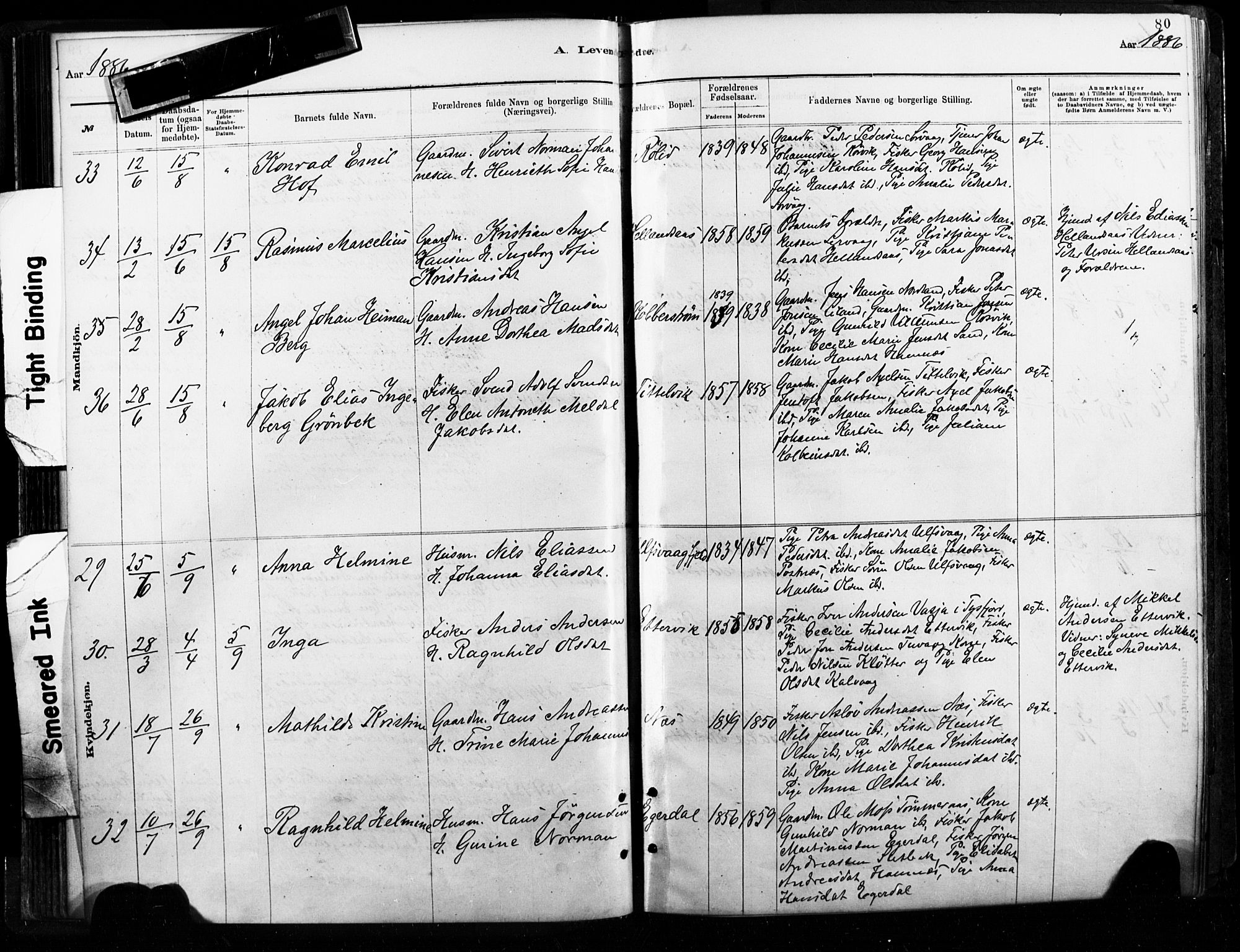 Ministerialprotokoller, klokkerbøker og fødselsregistre - Nordland, SAT/A-1459/859/L0846: Parish register (official) no. 859A06, 1878-1889, p. 80