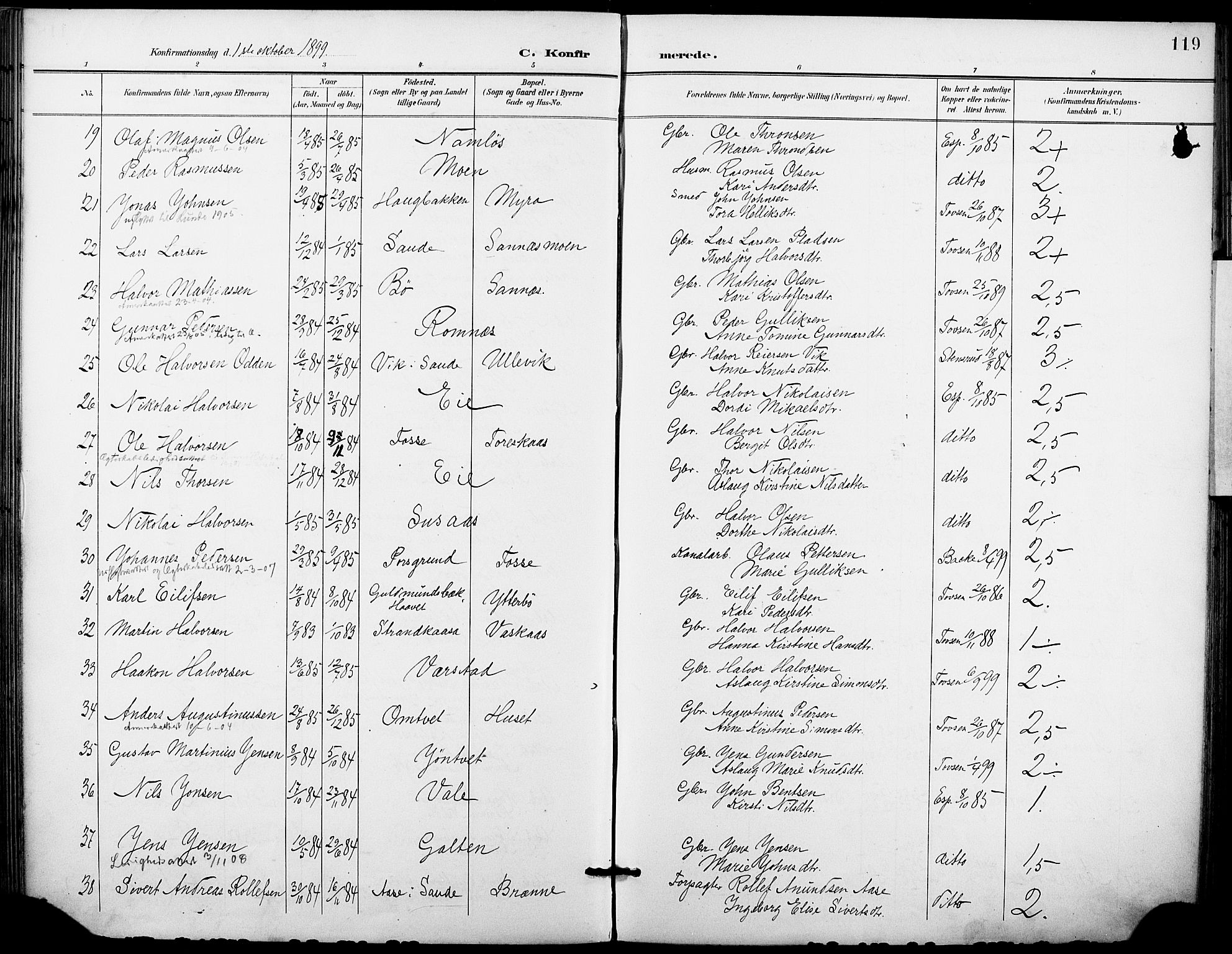 Holla kirkebøker, AV/SAKO-A-272/F/Fa/L0010: Parish register (official) no. 10, 1897-1907, p. 119