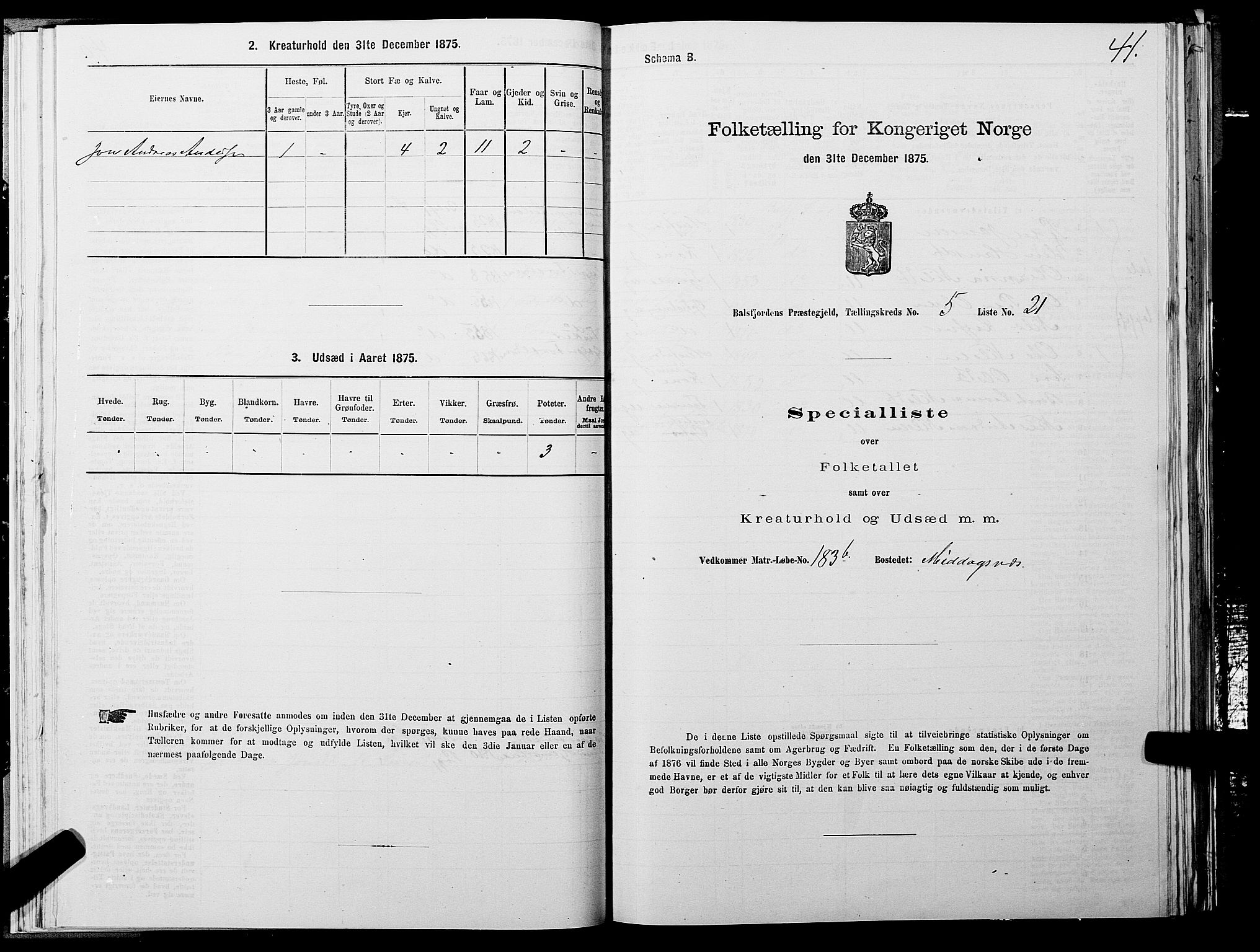 SATØ, 1875 census for 1933P Balsfjord, 1875, p. 3041